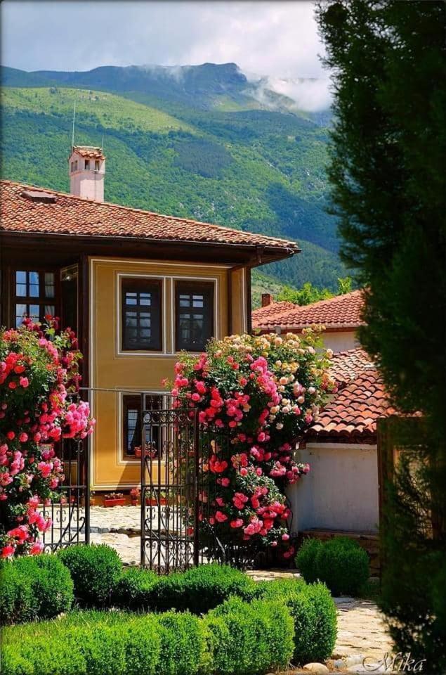 GUESTHOUSE MARIA / КЪЩА ЗА ГОСТИ МАРИЯ / GÄSTEHAUS MARIA