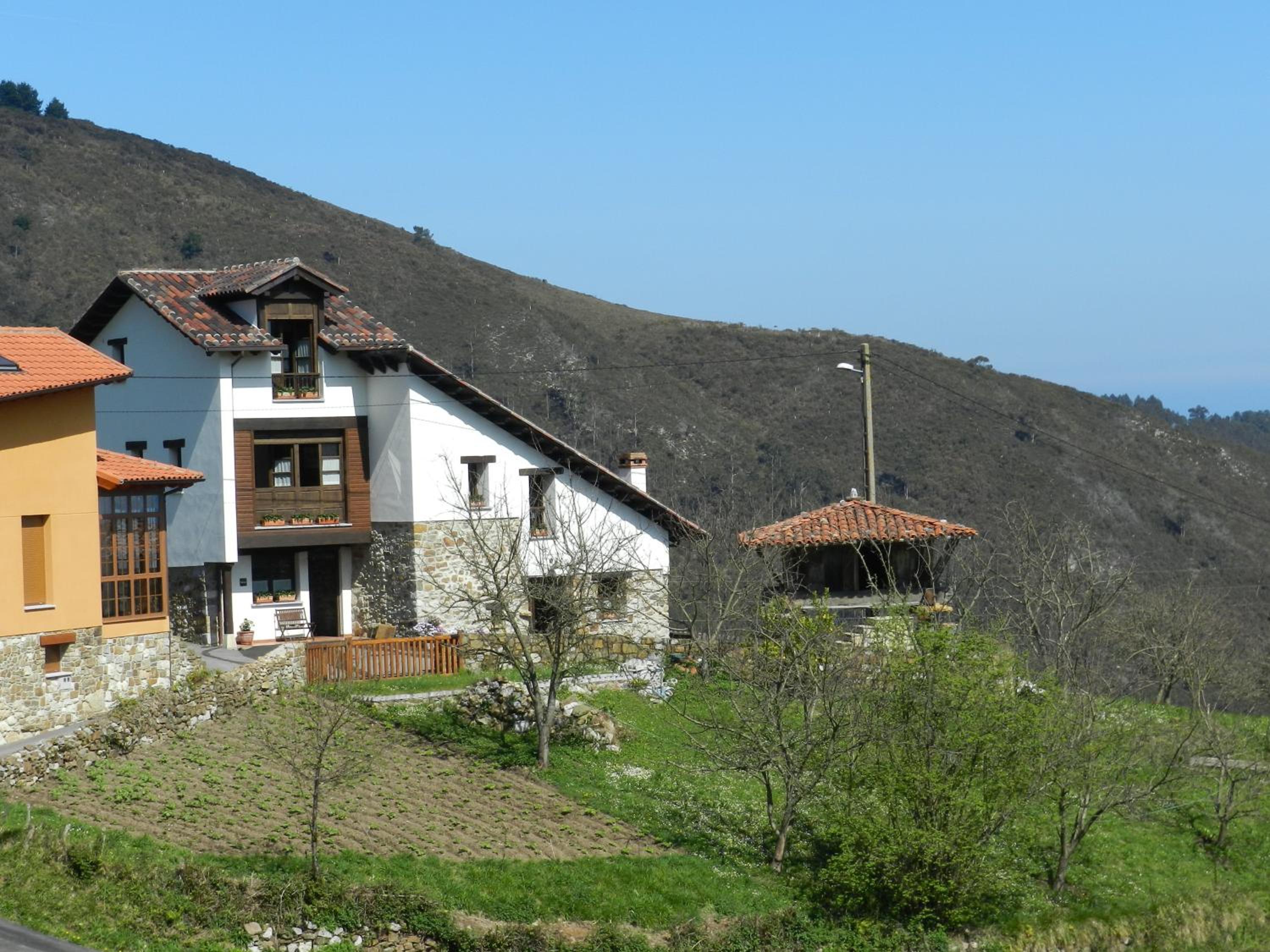 Photo 25