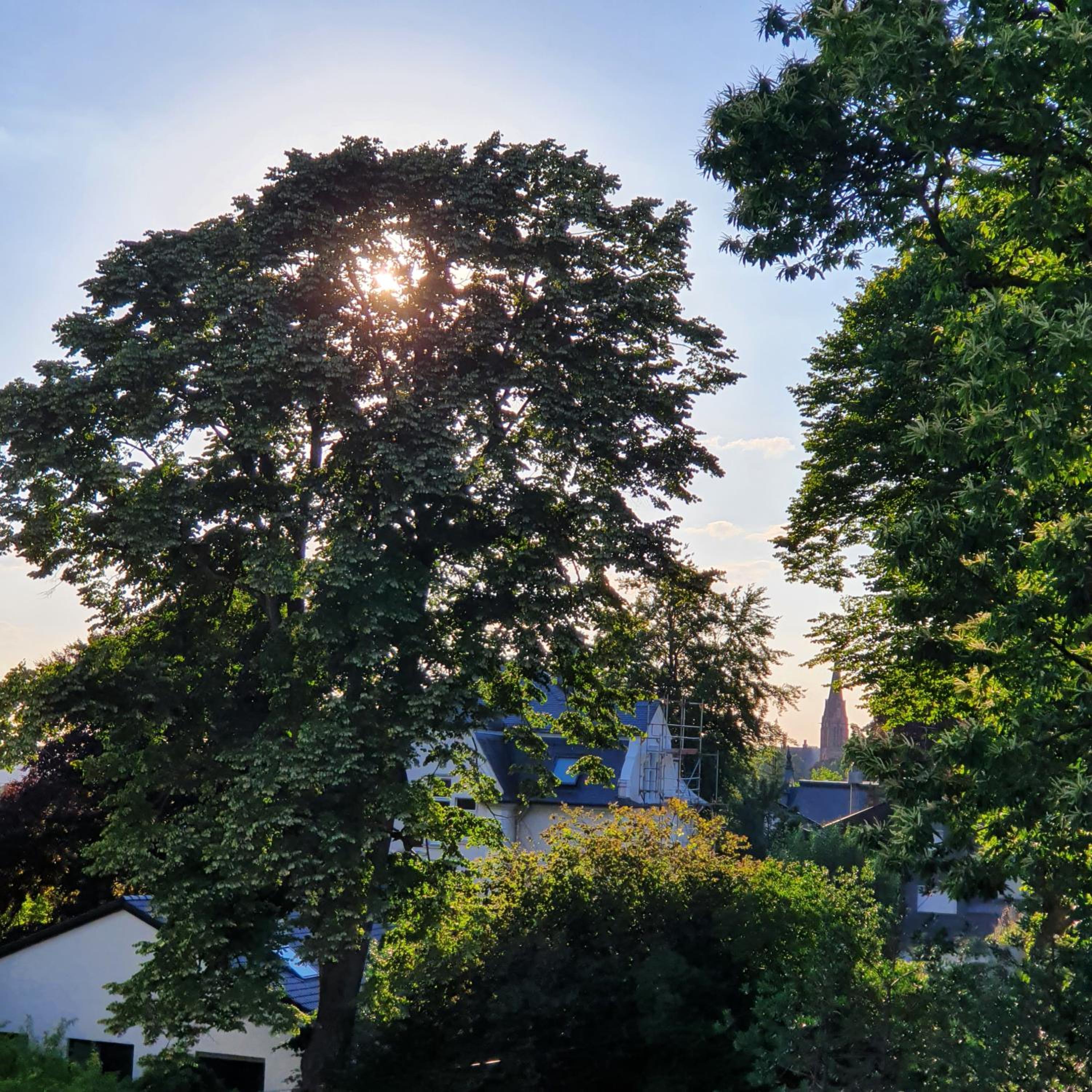 Ferienwohnung Fernblick