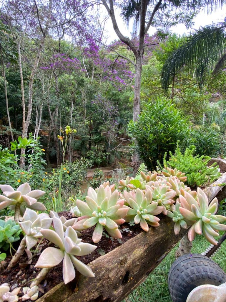 Sítio Maravilha em Domigos Martins