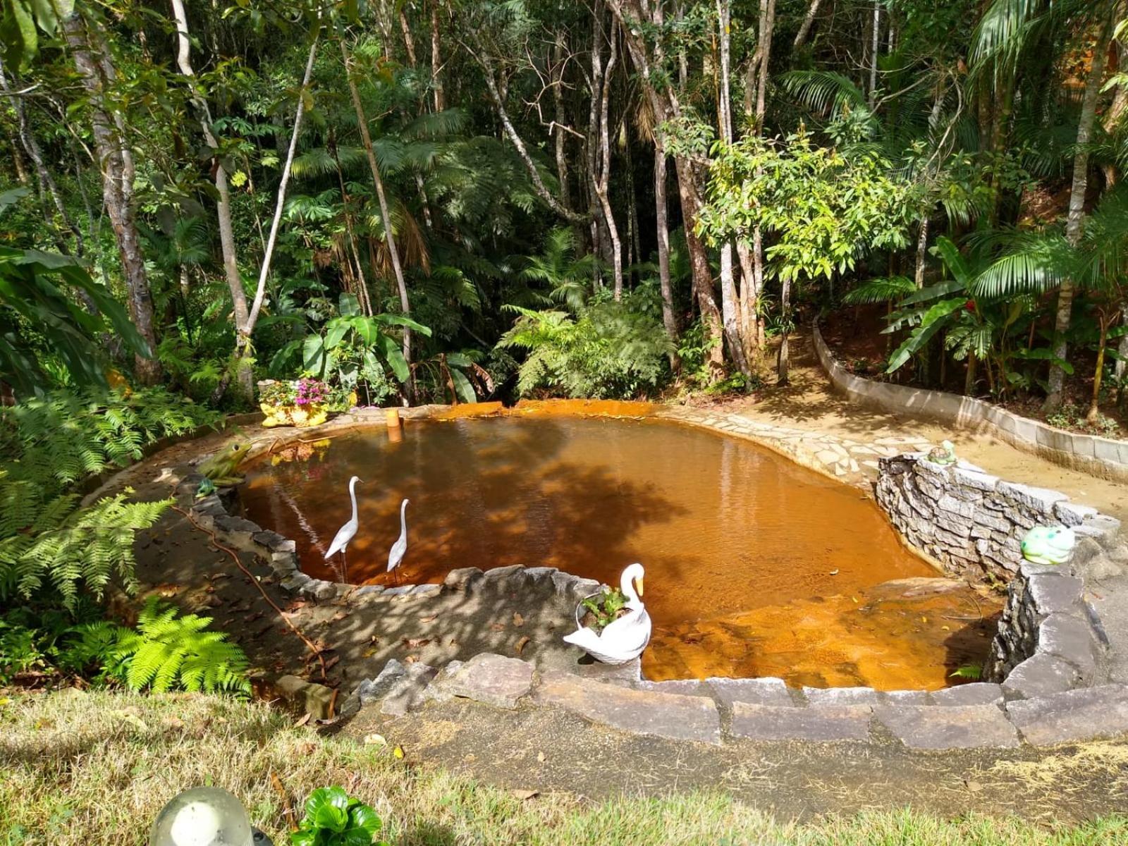Sítio Maravilha em Domigos Martins