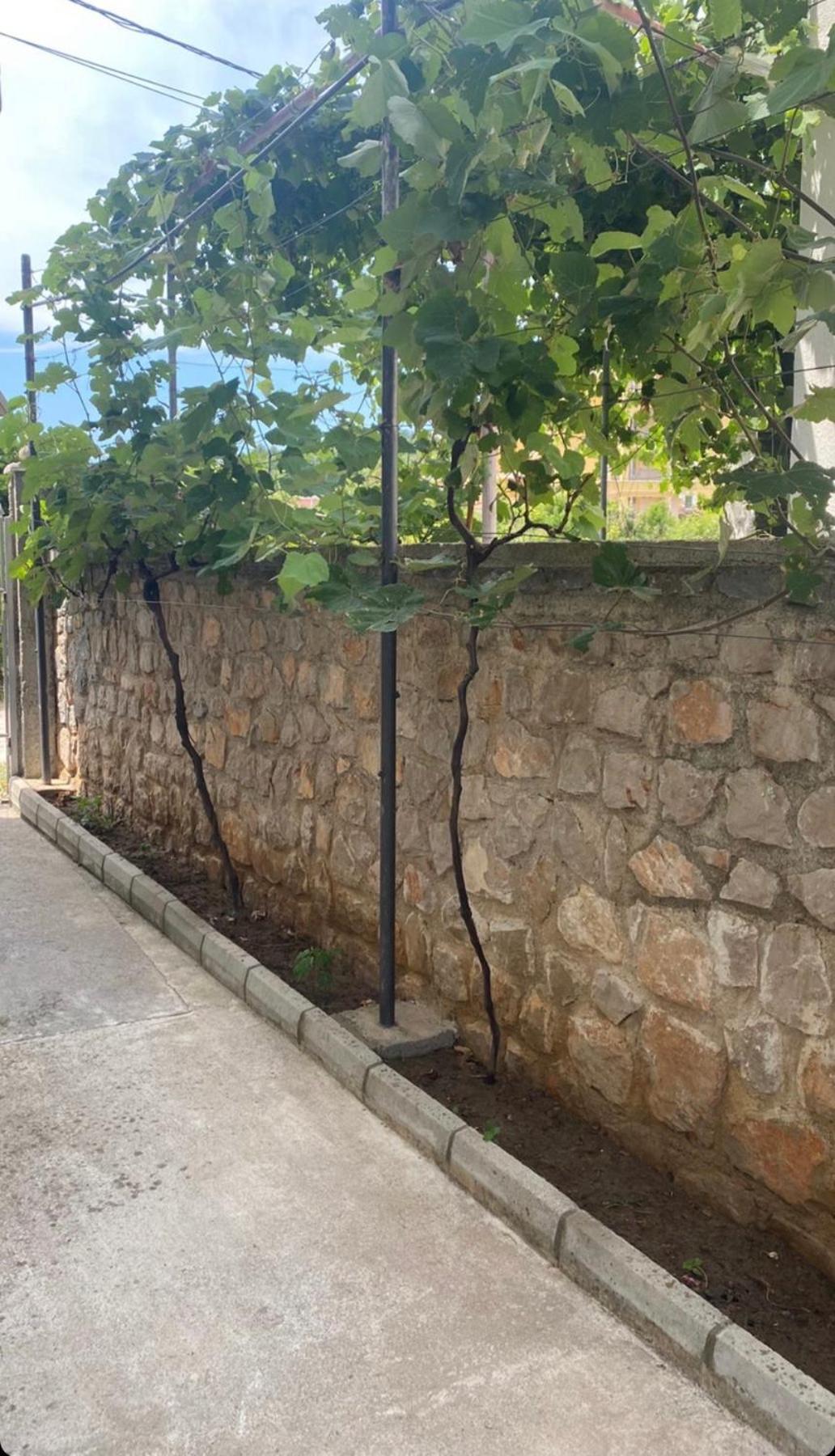 Apartmani Pejovic Sutomore photo 2
