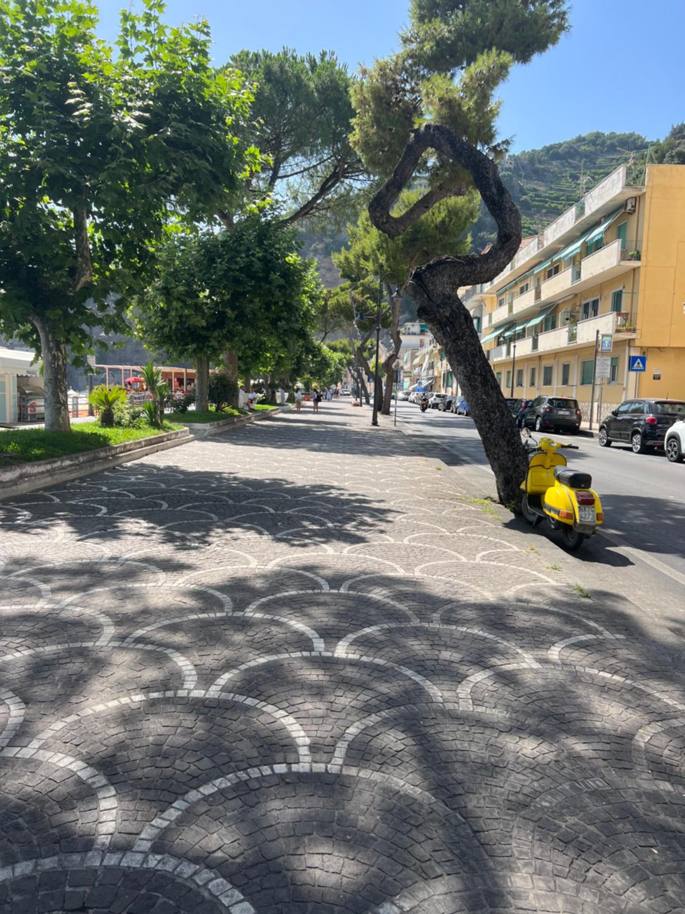 CASAMALFITANA I DOGI