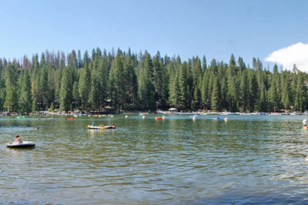 Photo 46
