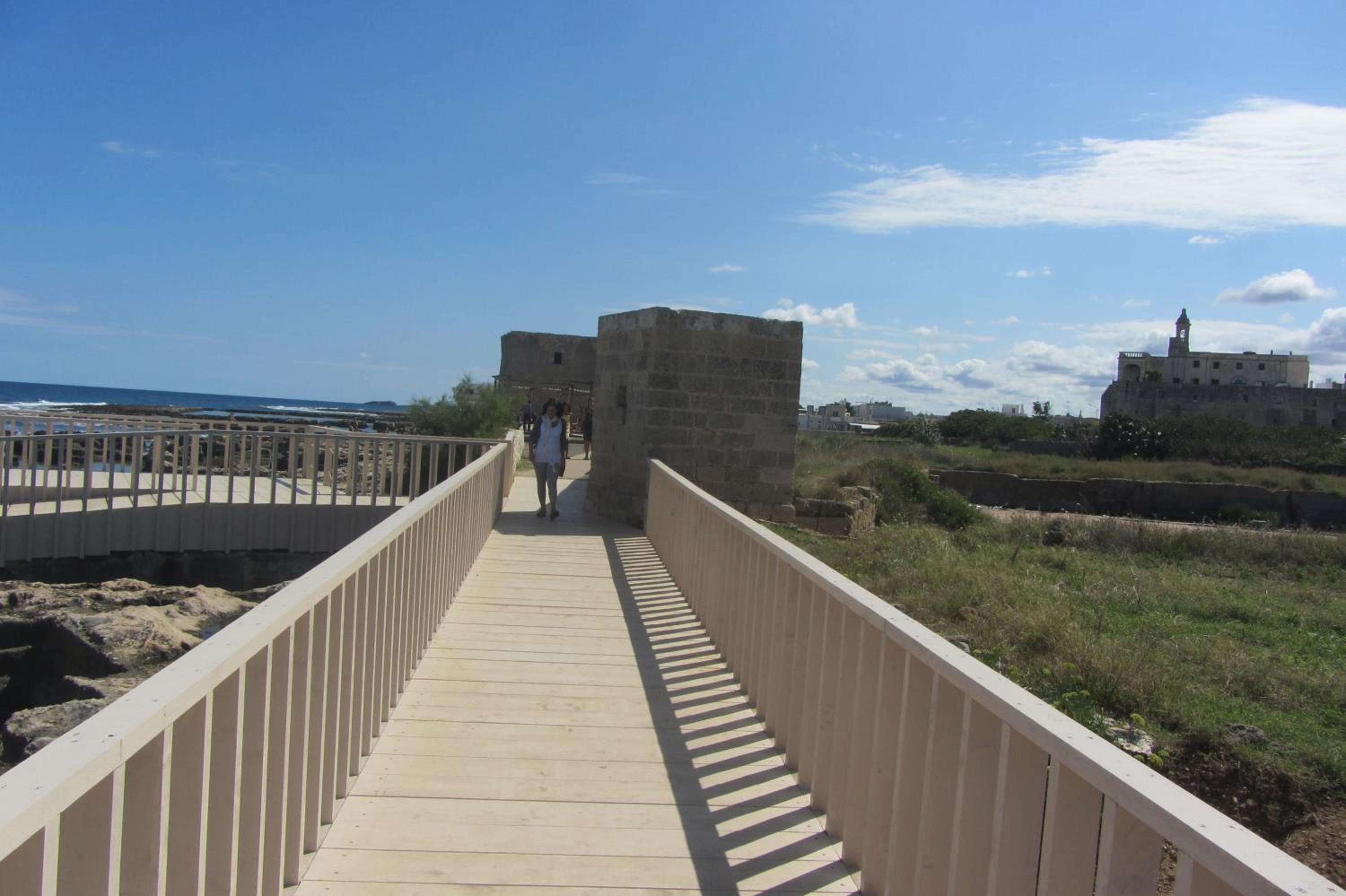 Photo 24