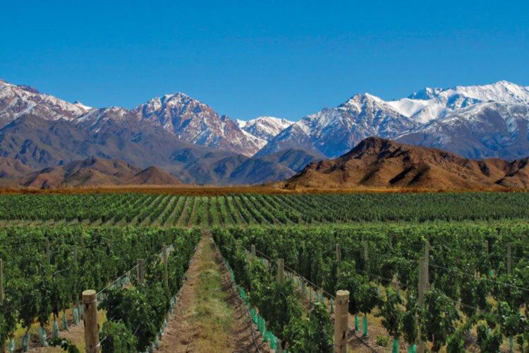 Casa&Pileta -#Postal de la Cordillera# Chacras de Coria - Vistalba