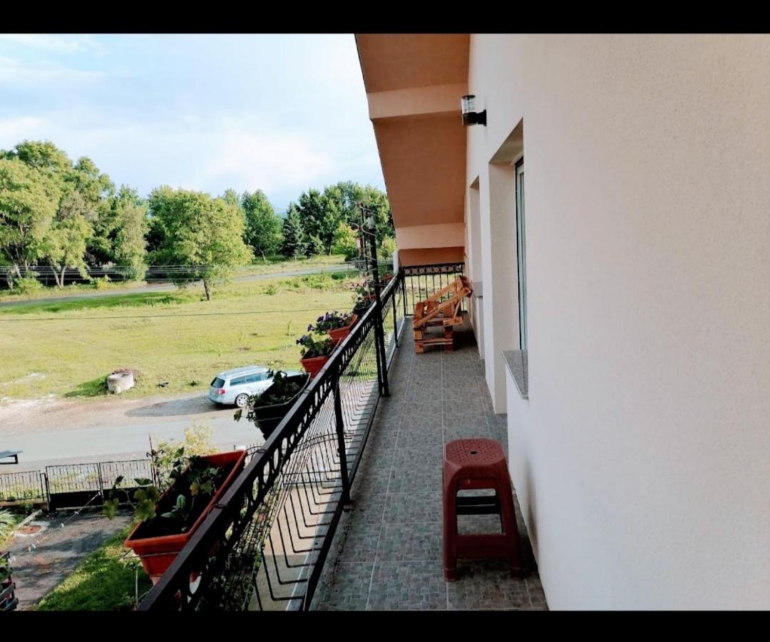 Privatni smestaj - Grujic view 3