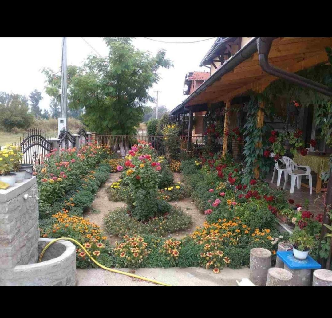 Privatni smestaj - Grujic view 5