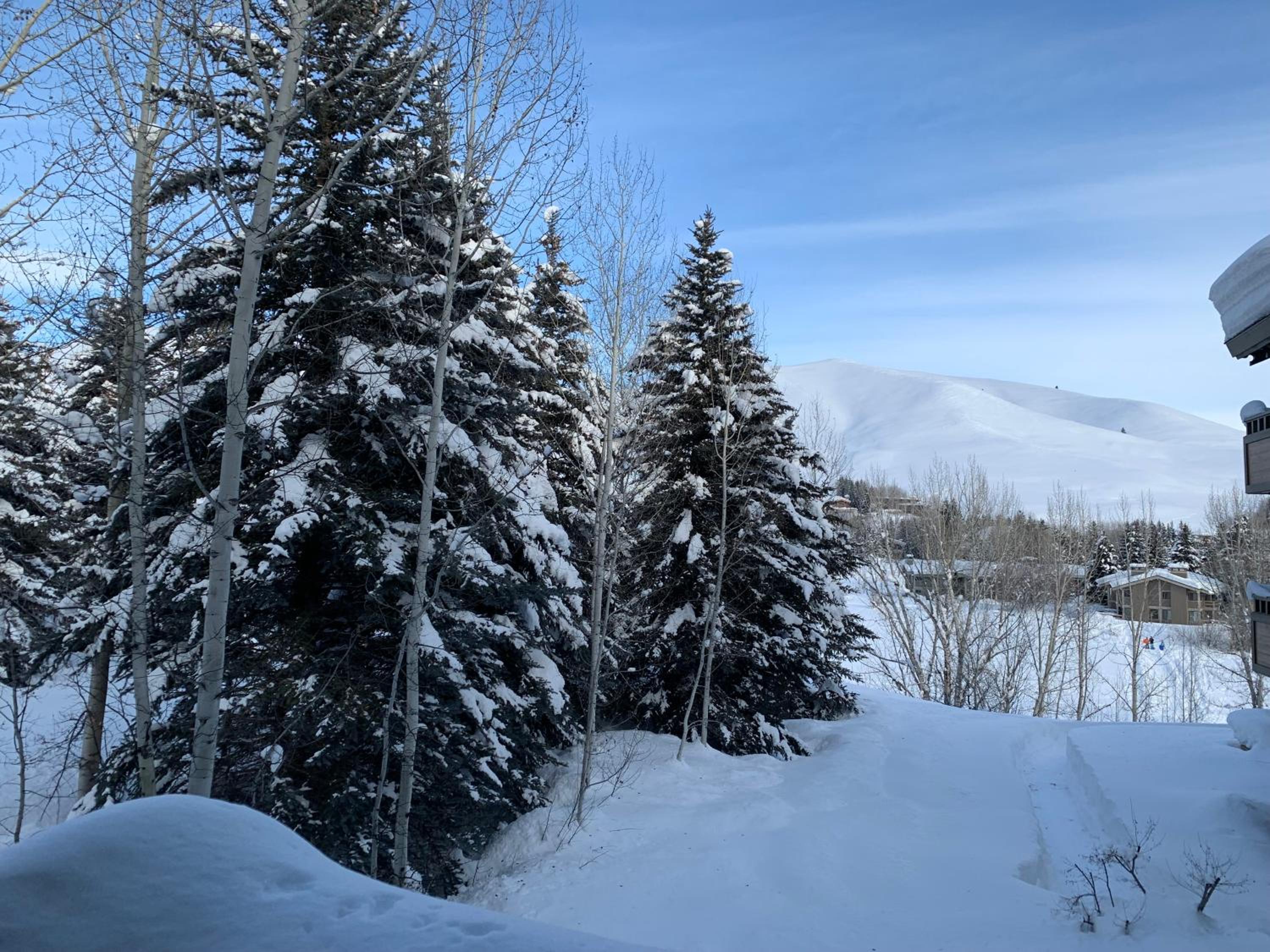 SV Wildflower Condo 3 Bed 3 Bath w SV INN pool access- No PETS! - Property Image 10