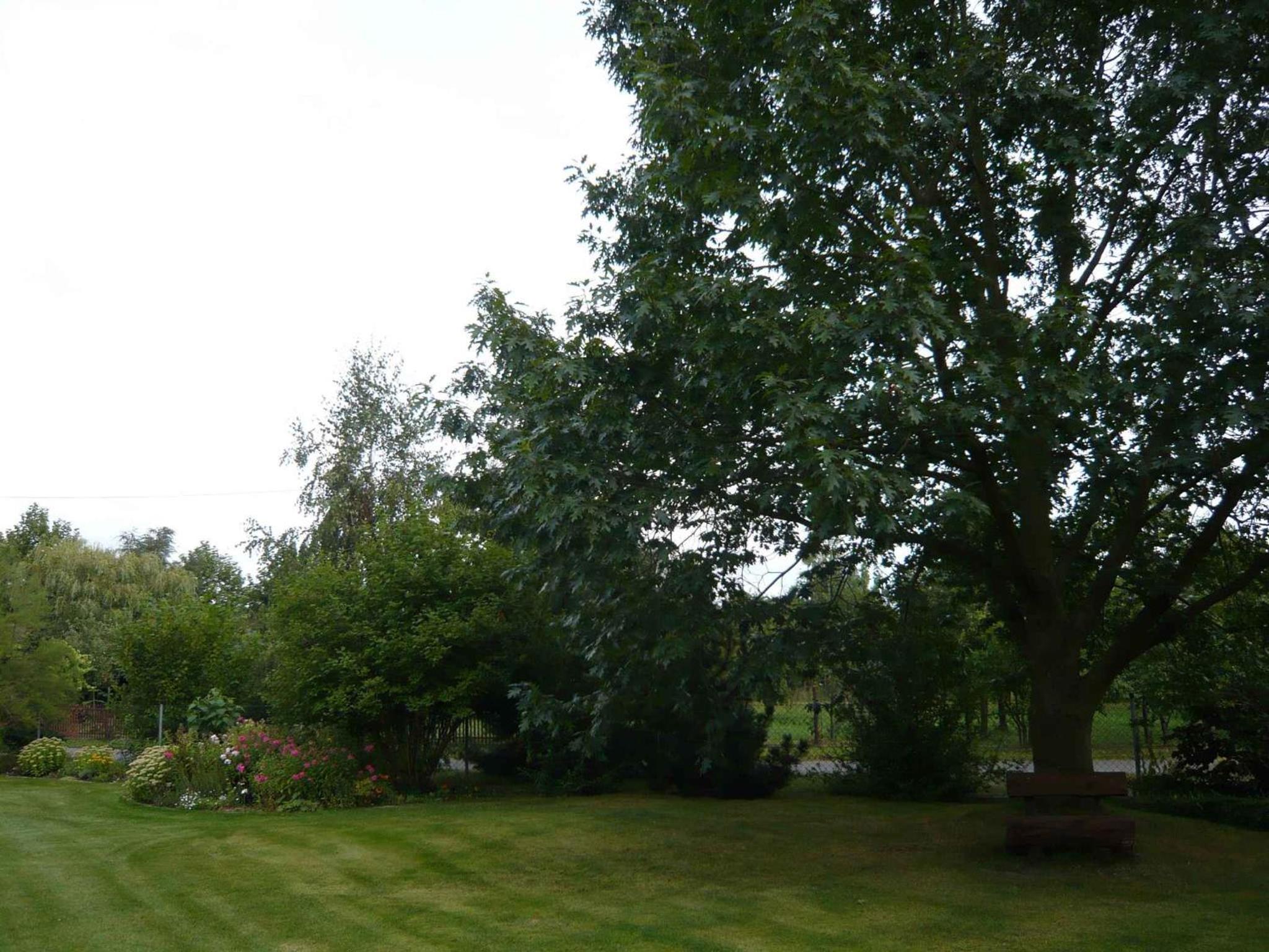 Apartments in Vetschau Spreewald 2618 view 3