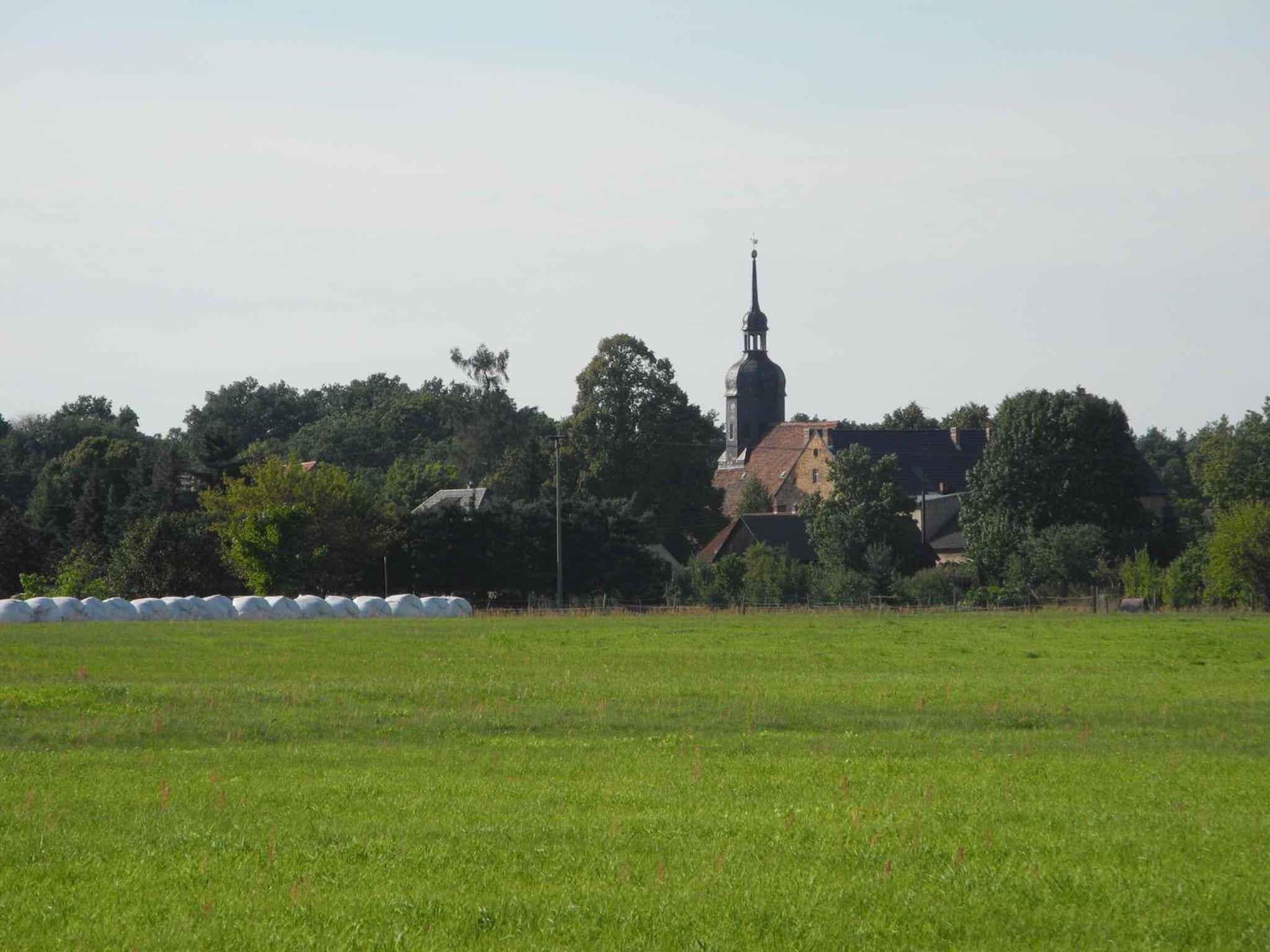 Photo 11