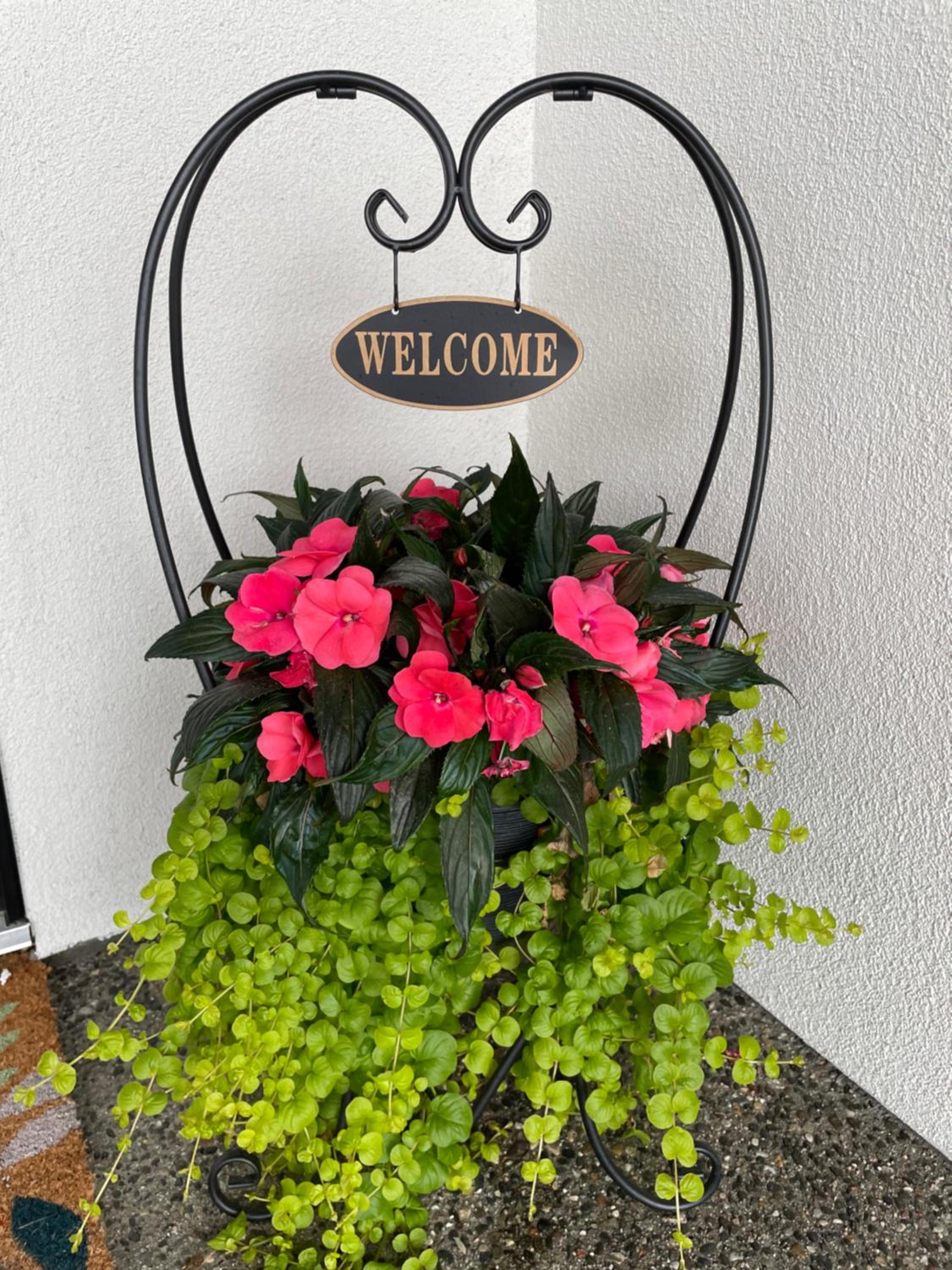 Shannon Heights B&B - Image 4