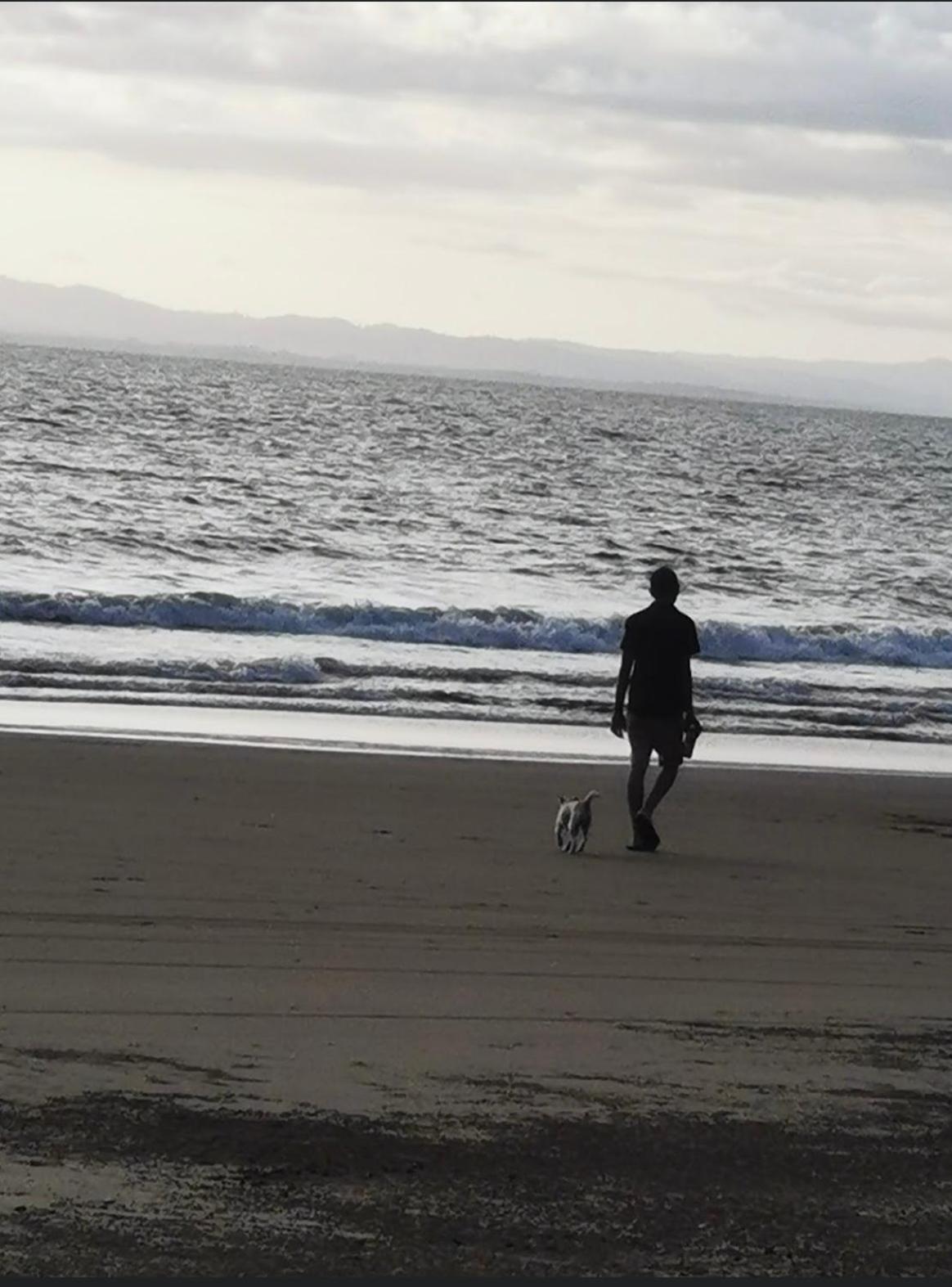 Photo 44