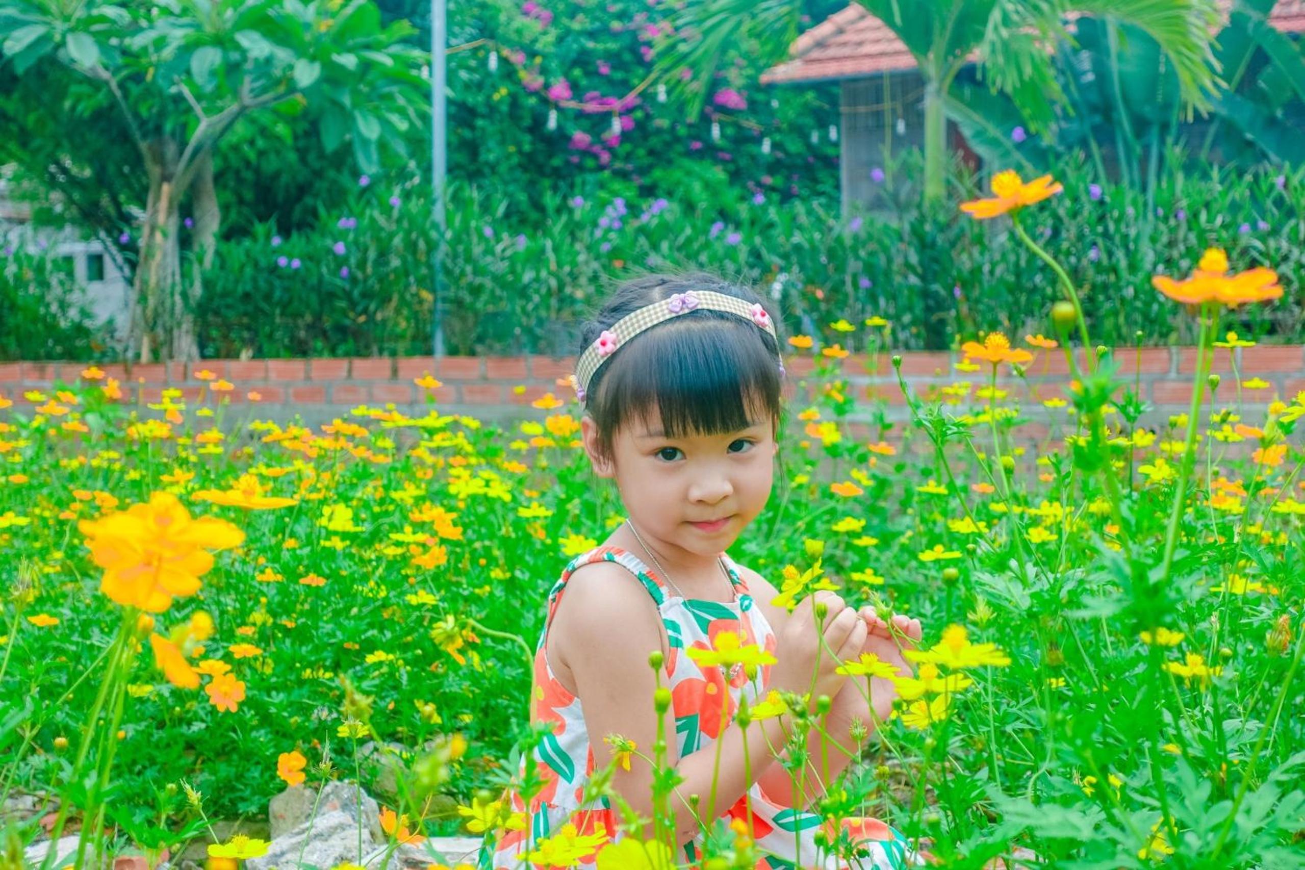 Ninh Binh Mountain Side Homestay & Cafe