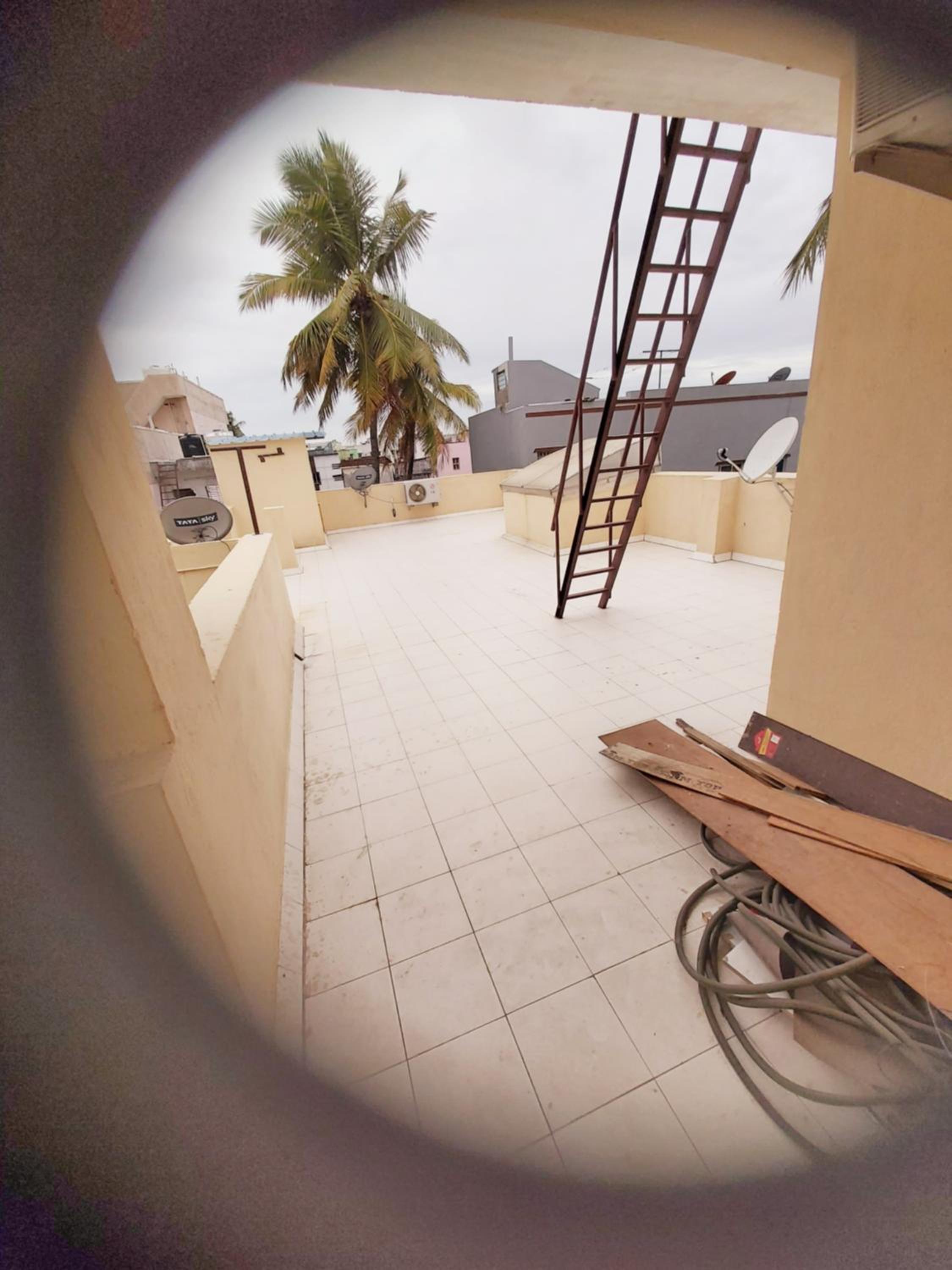 roof