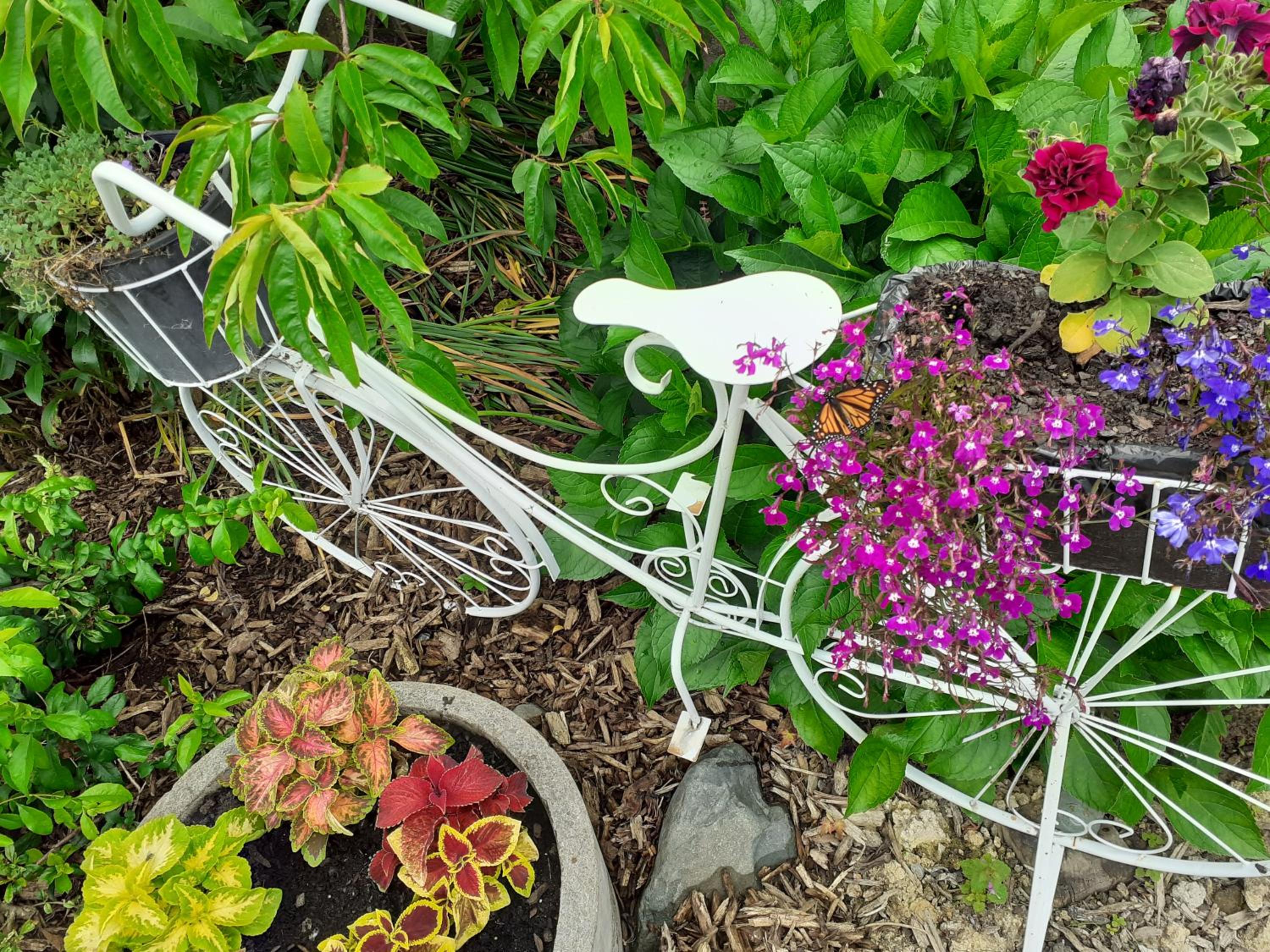 The Empty Nest view 5