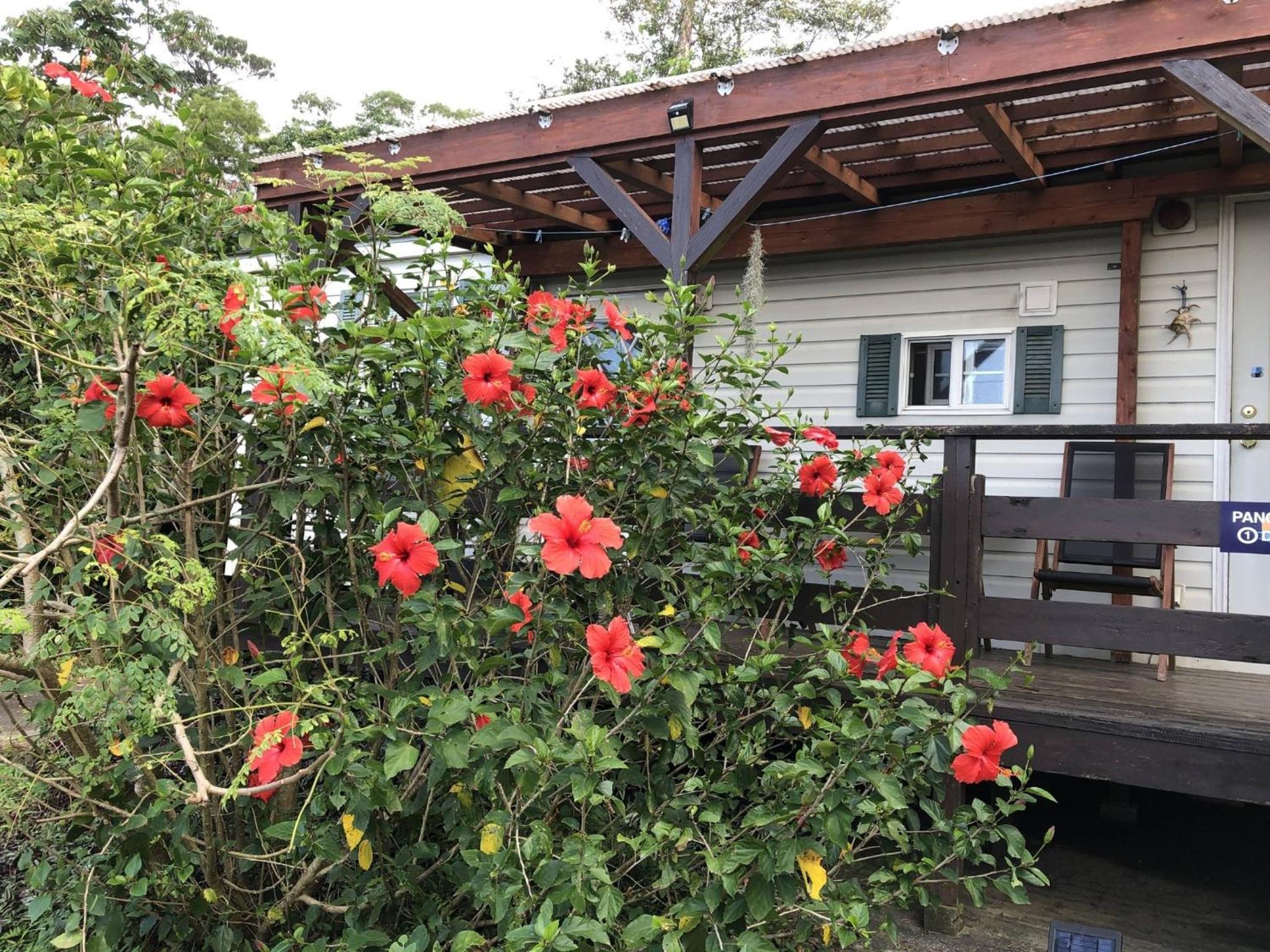 Kunigami-gun - Cottage / Vacation STAY 22642 view 5