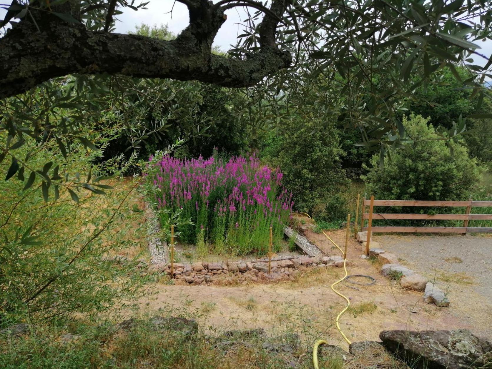 Photo 26