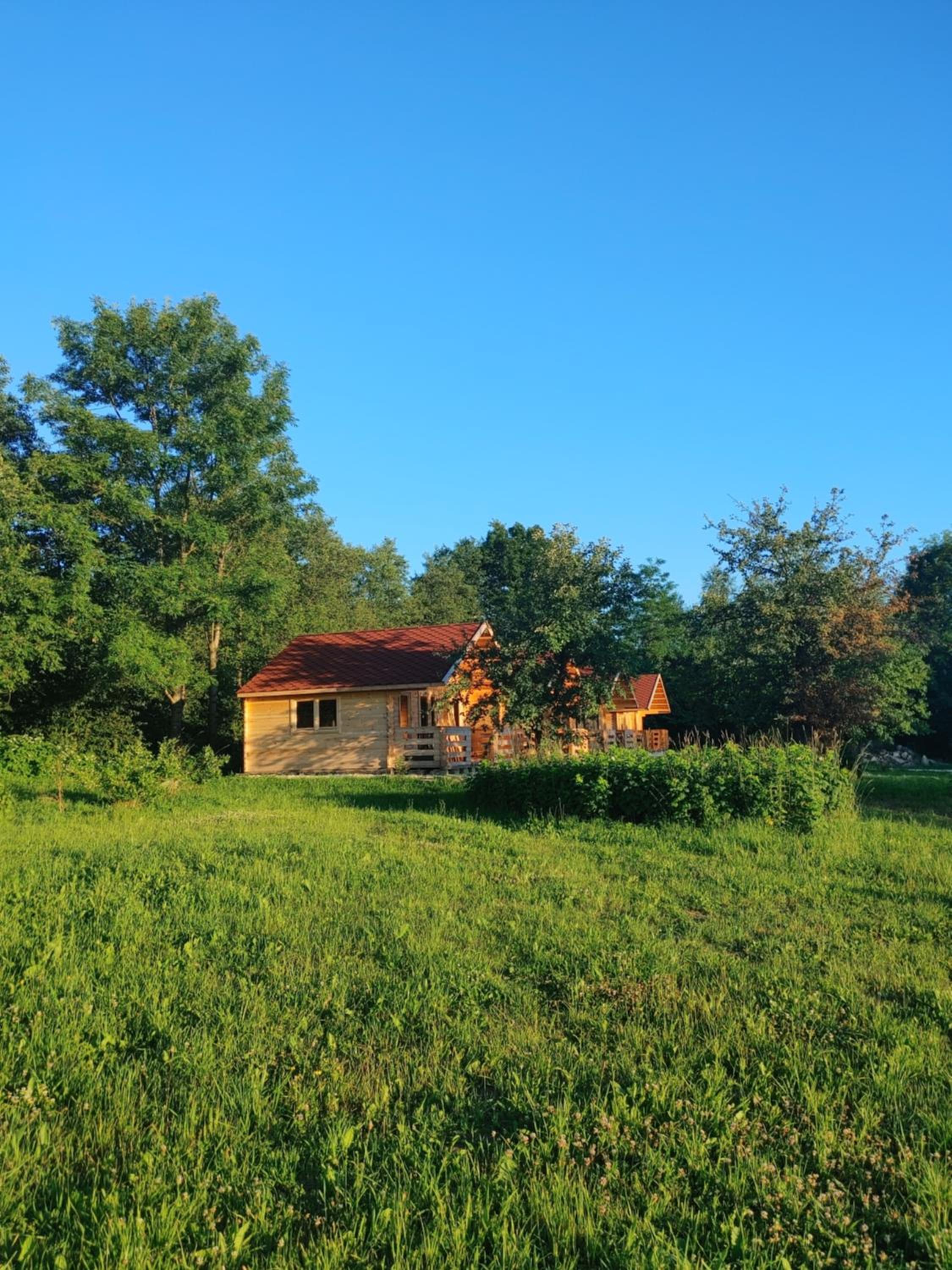 Photo 28