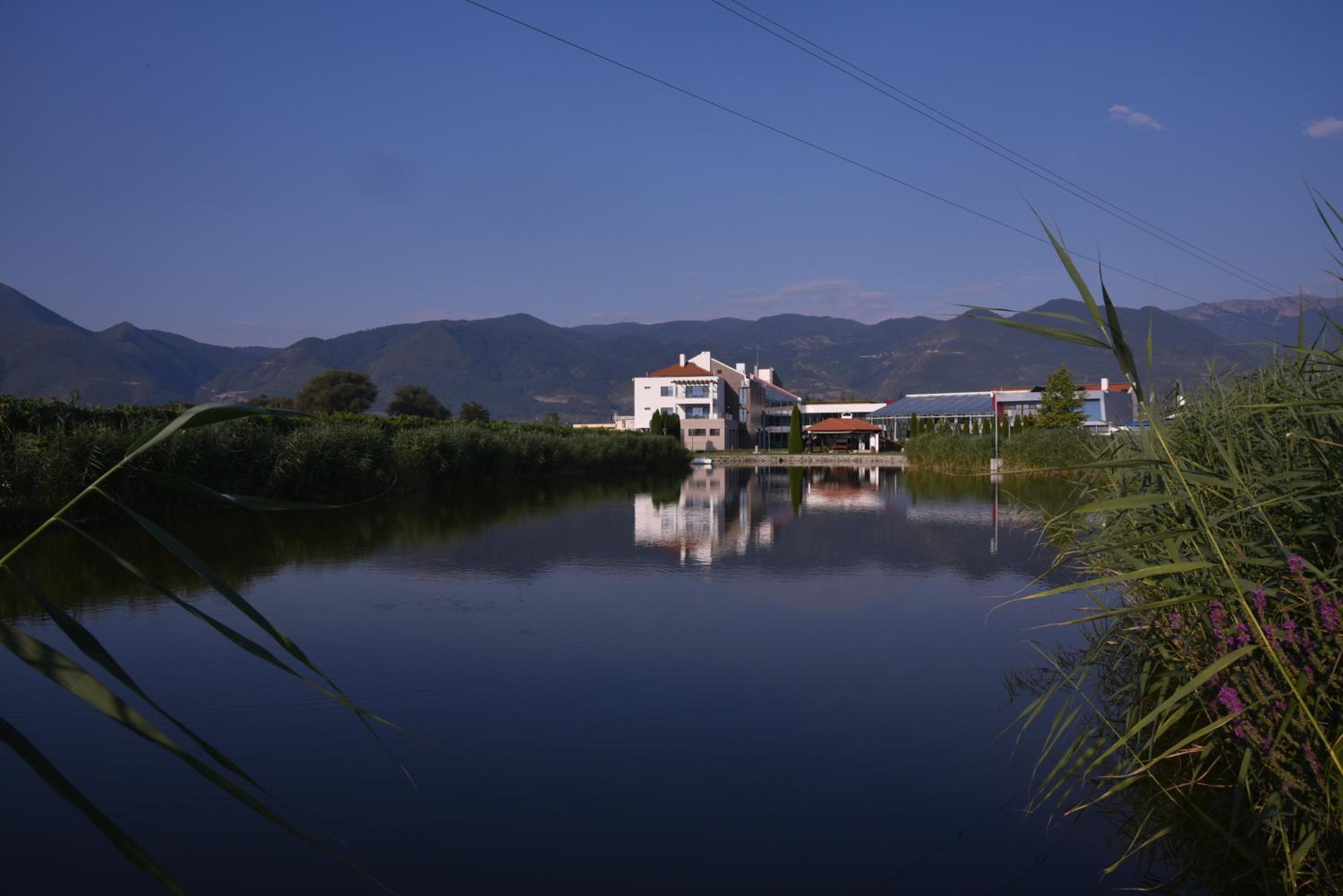 Uva Nestum Wine & SPA view 3