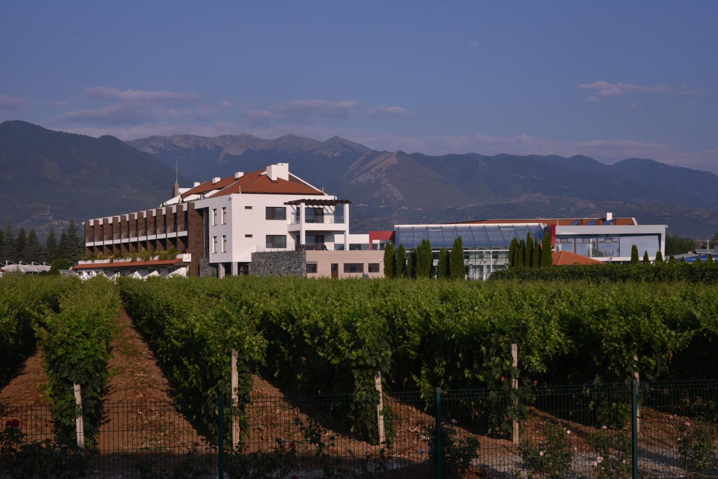 Uva Nestum Wine & SPA view 2