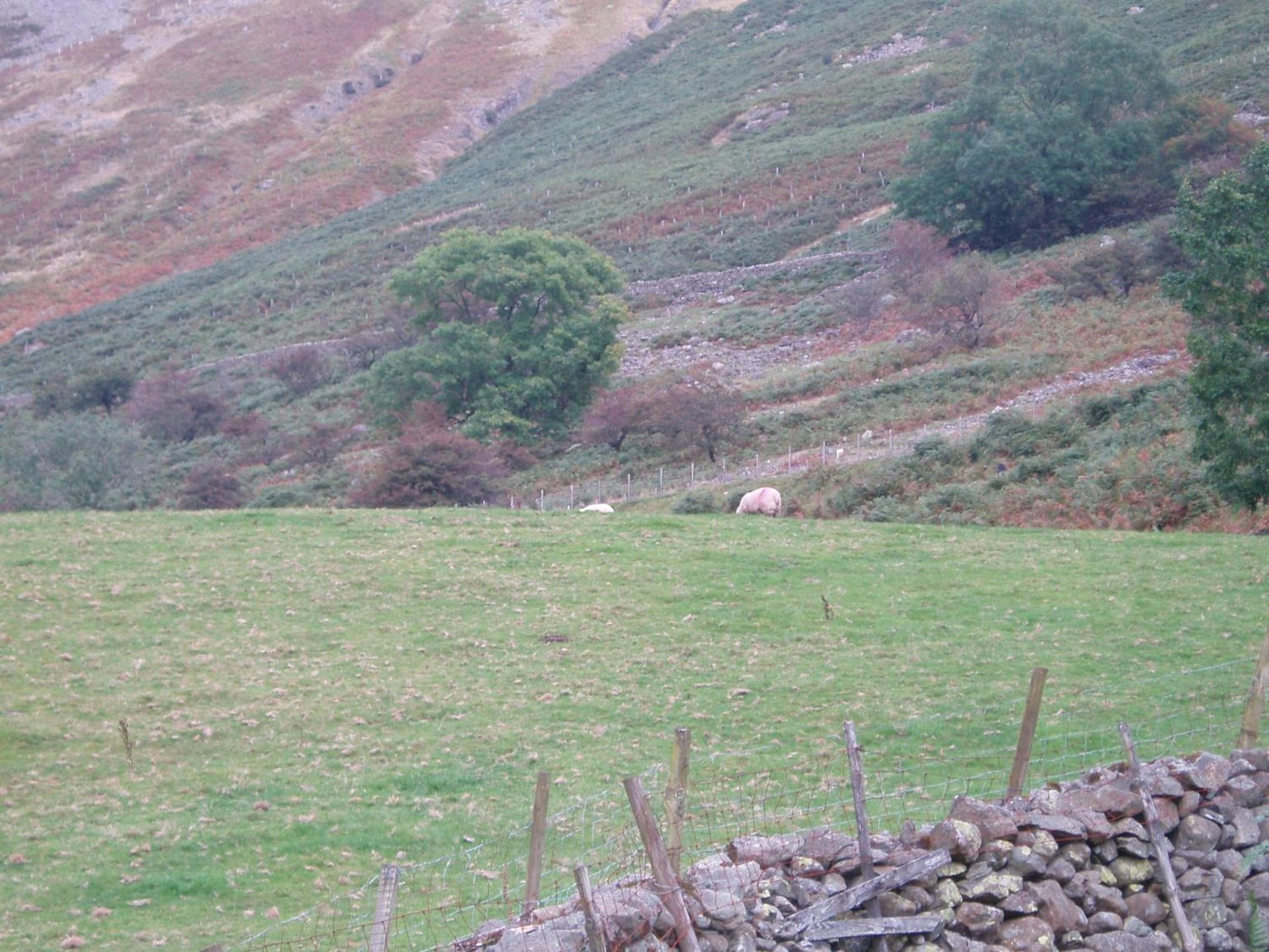 Fisher-gill Camping Barn view 5