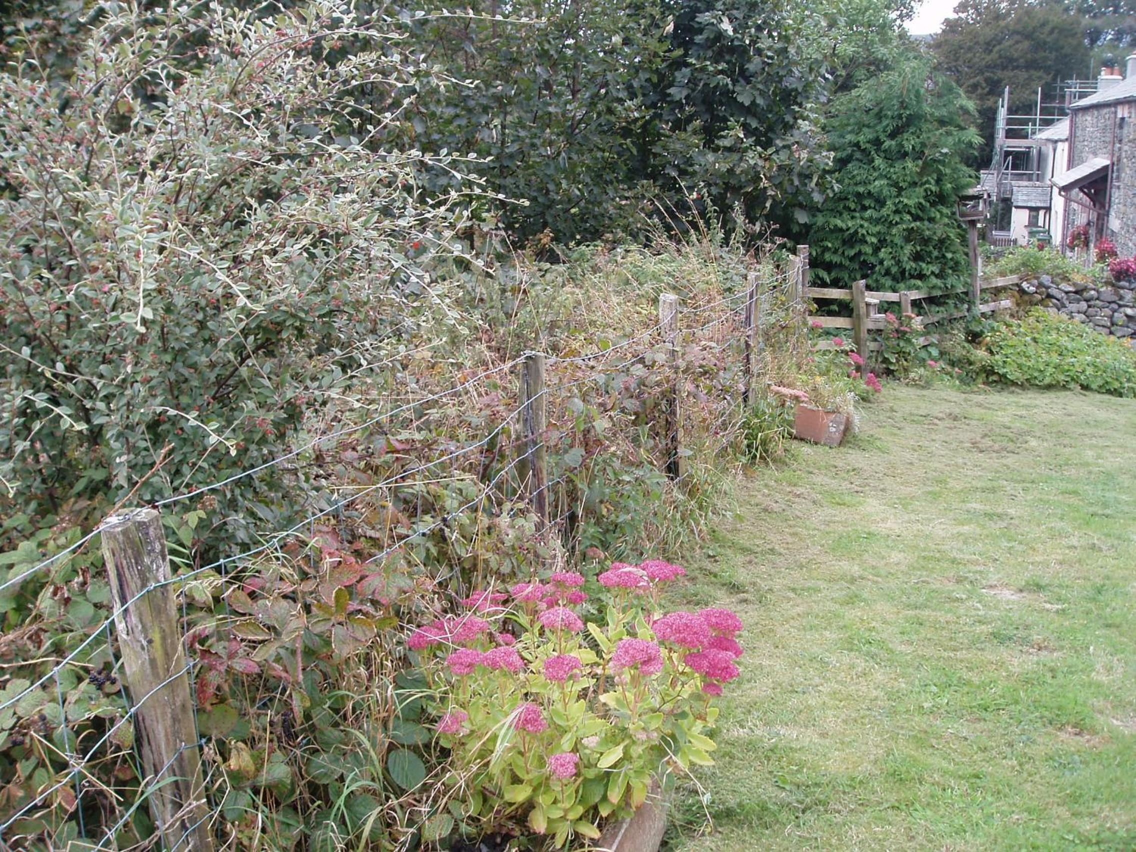 Photo 11