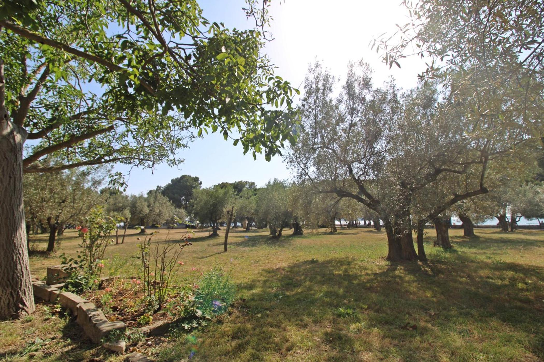 Apartman Ivana view 4