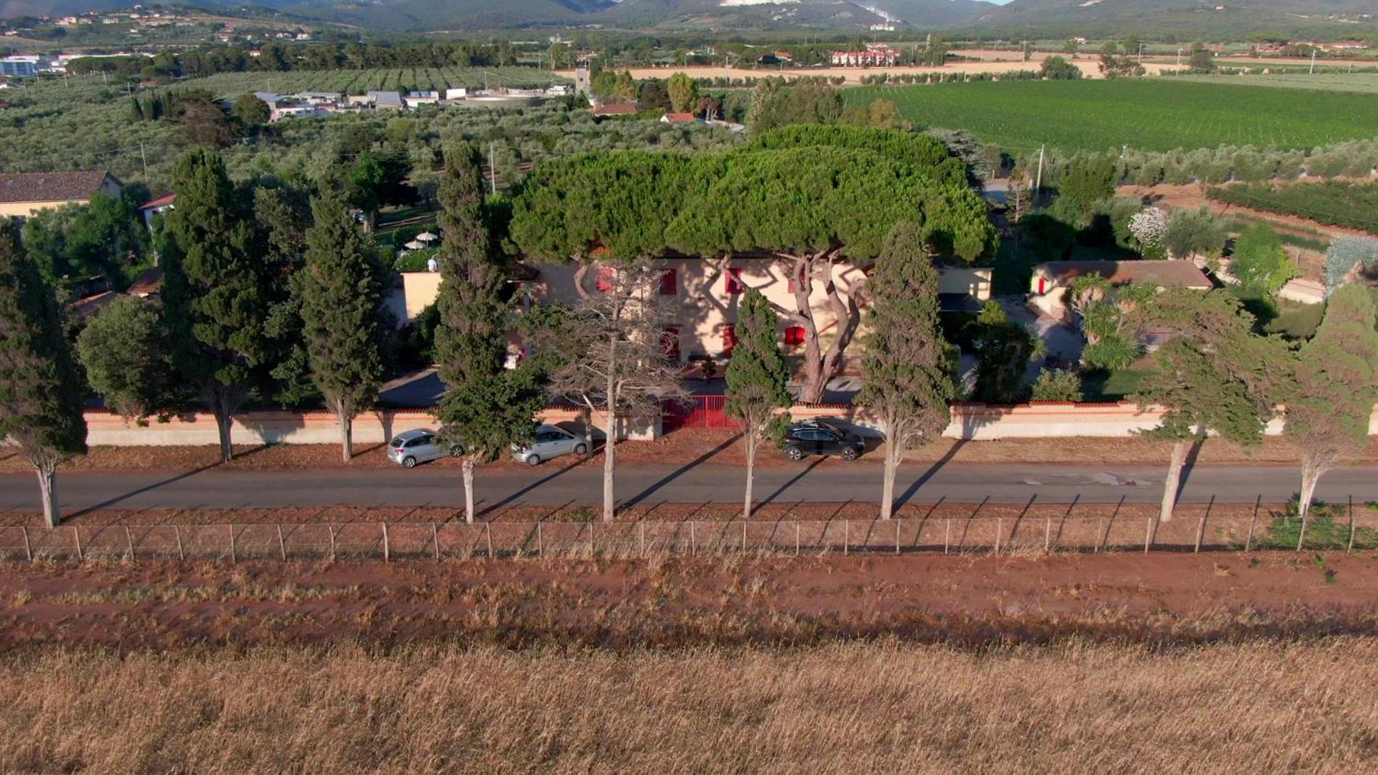 Photo 45