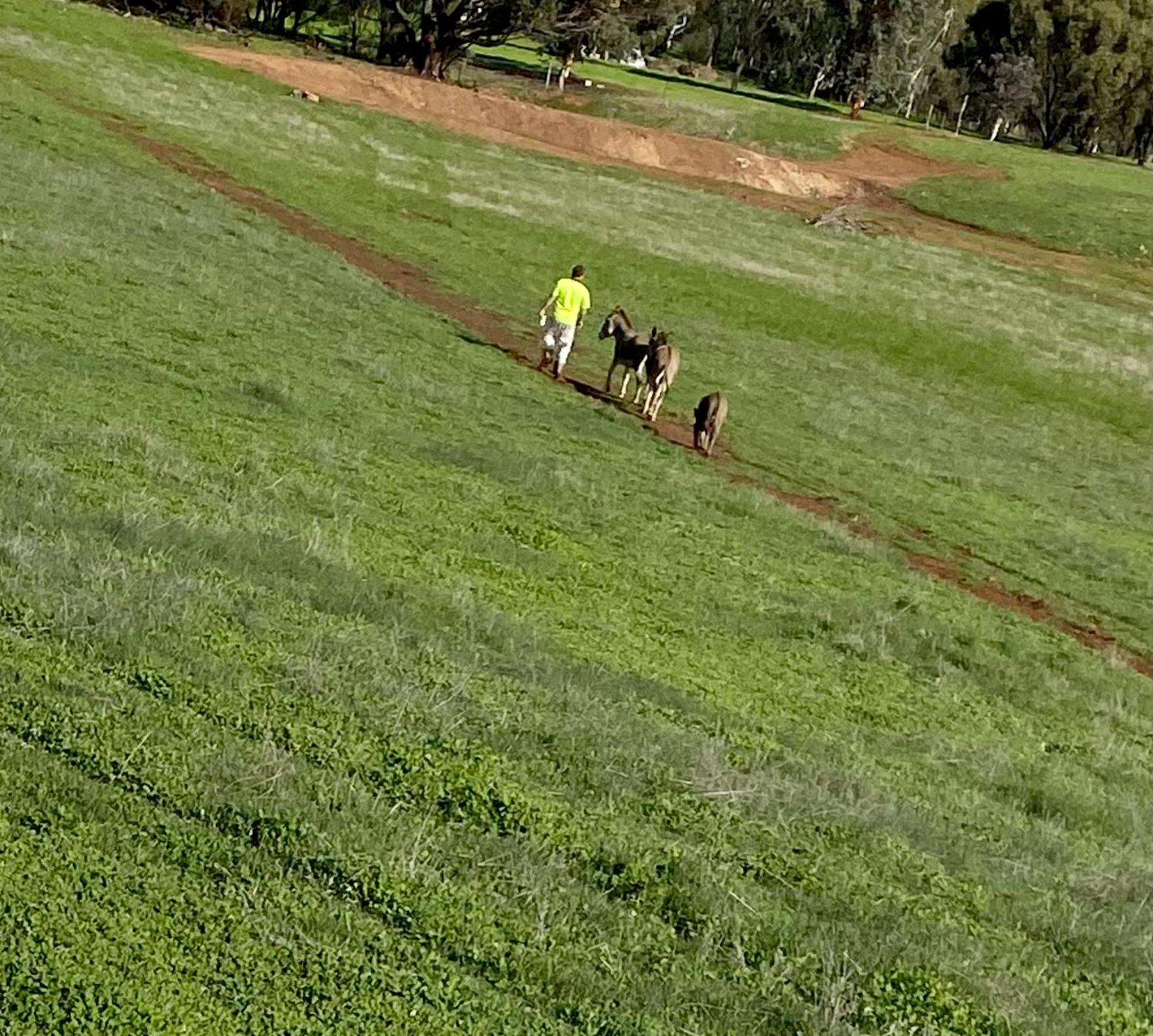 Sandalwood Downs Fabulous Farm Stay TOODYAY