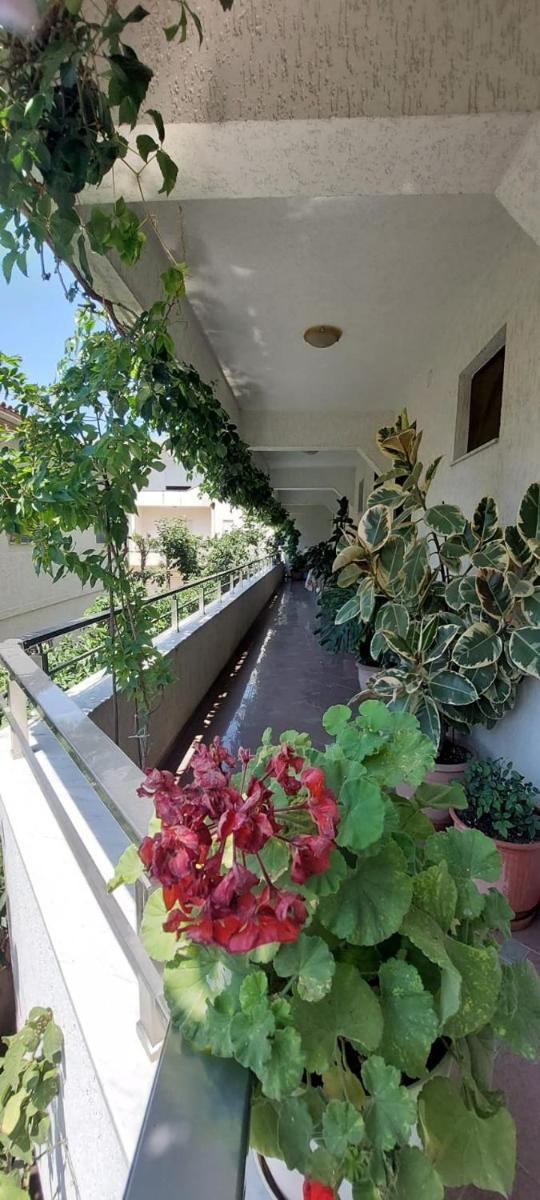 Villa Juvenilja photo 3