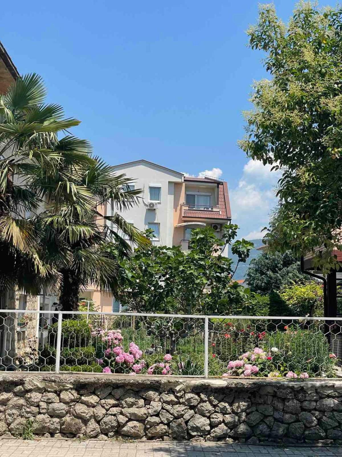 Pupin Luxury Apartment view 4