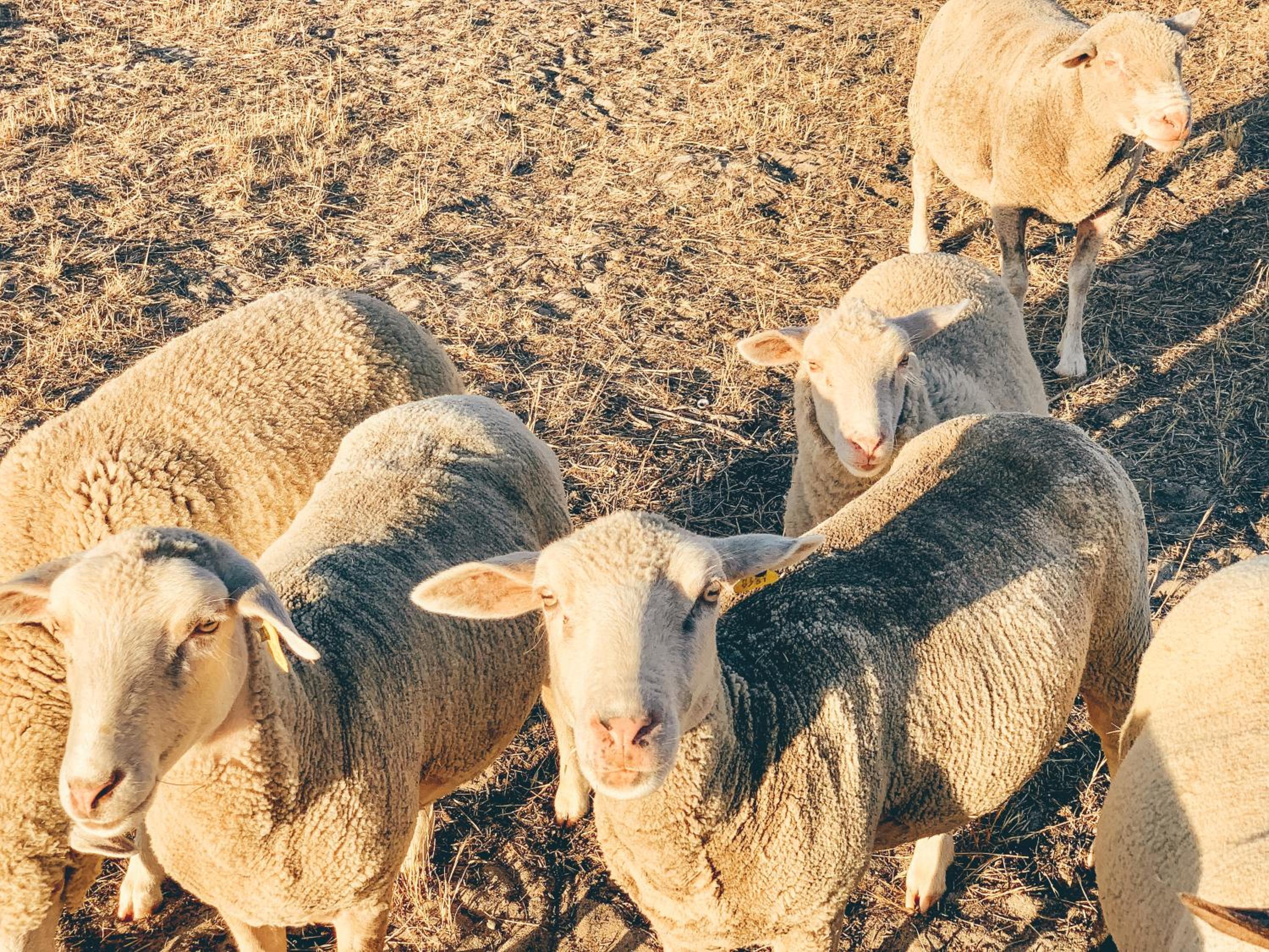 other