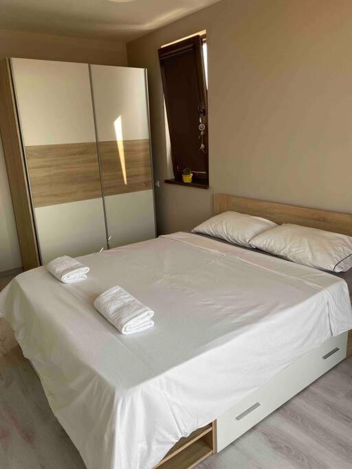 Sunny Spacious Apartment in a Great Location view 5