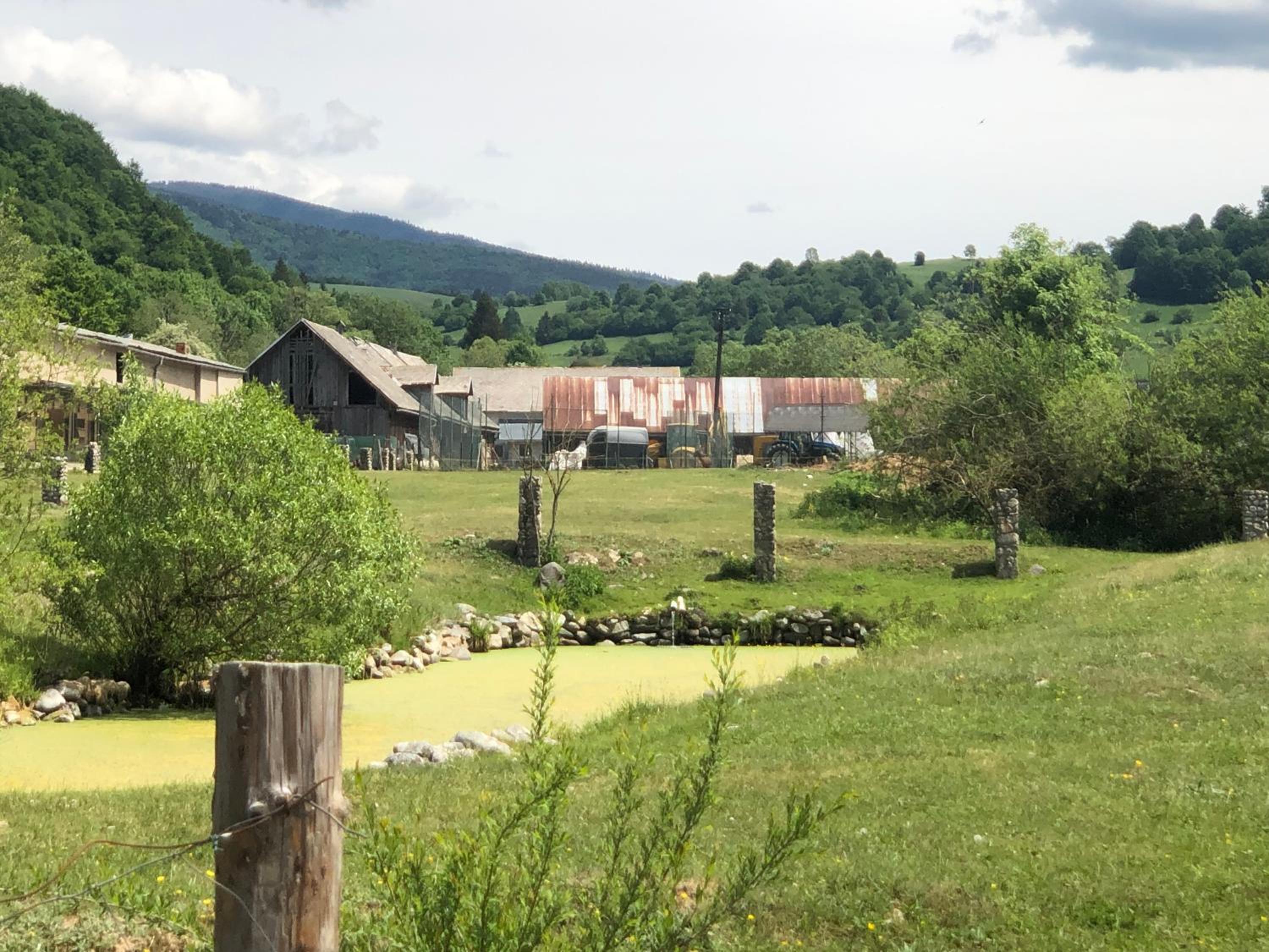 Photo 12