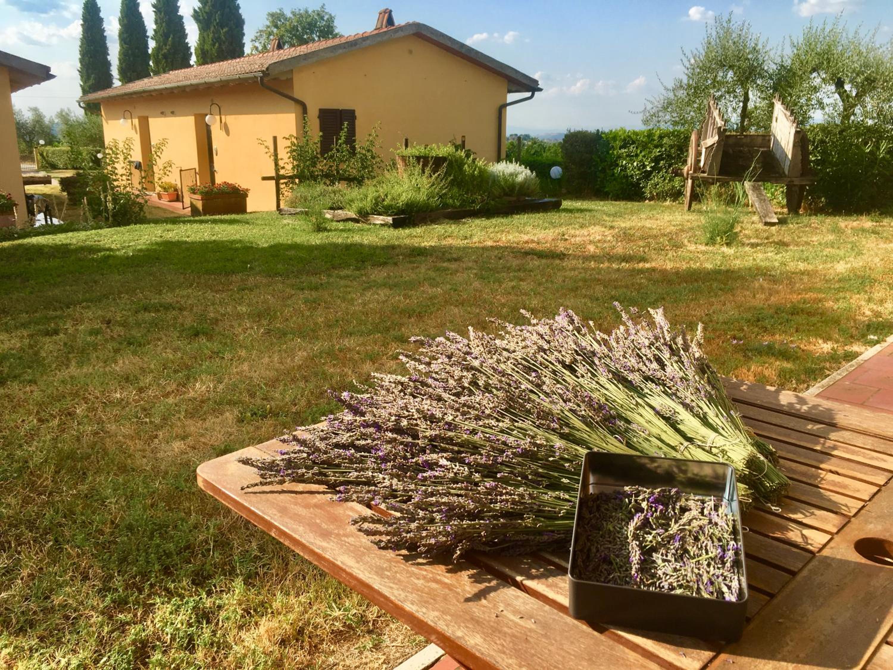 Agriturismo Metina