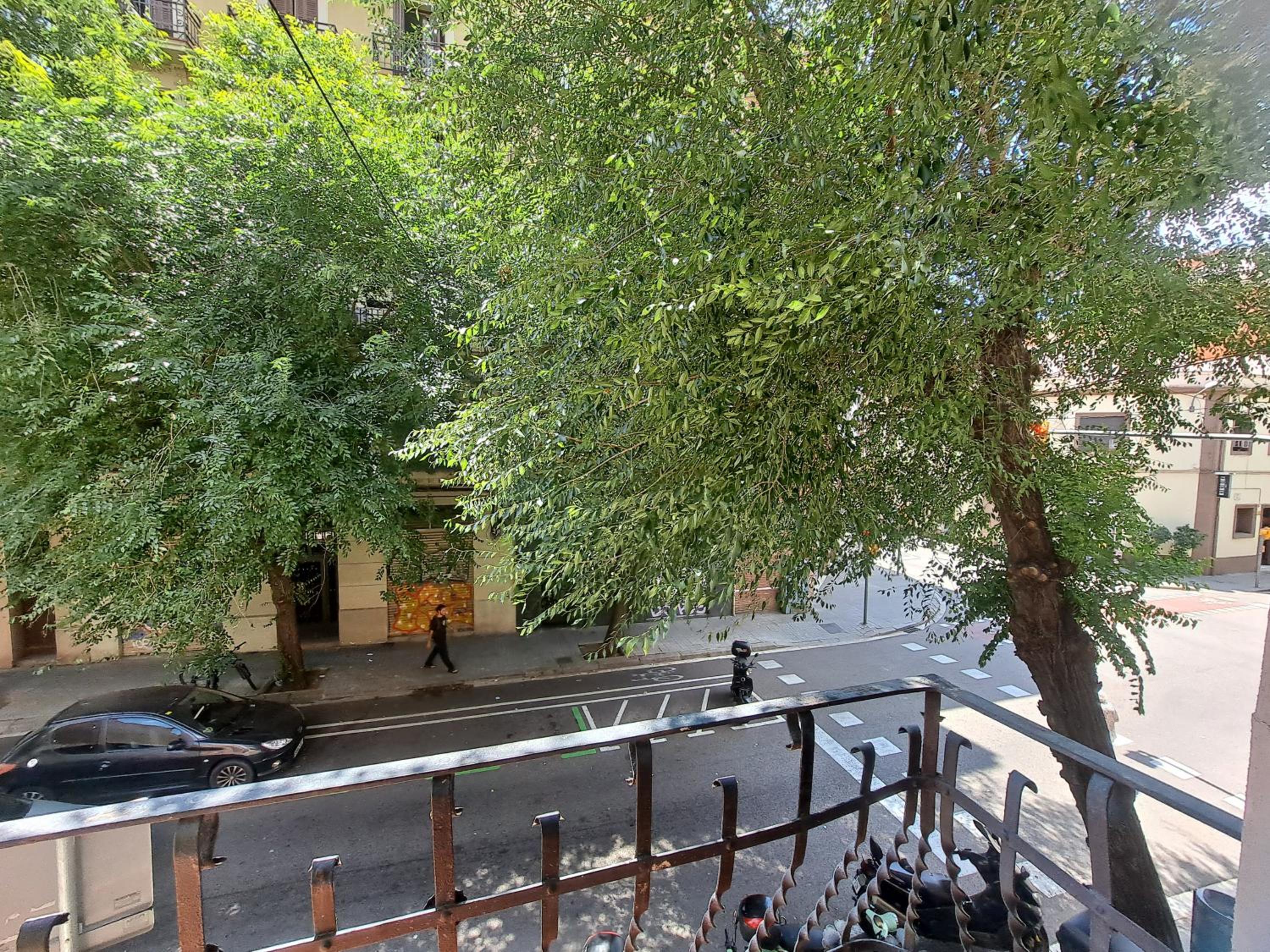 Trip Barcelona Spain