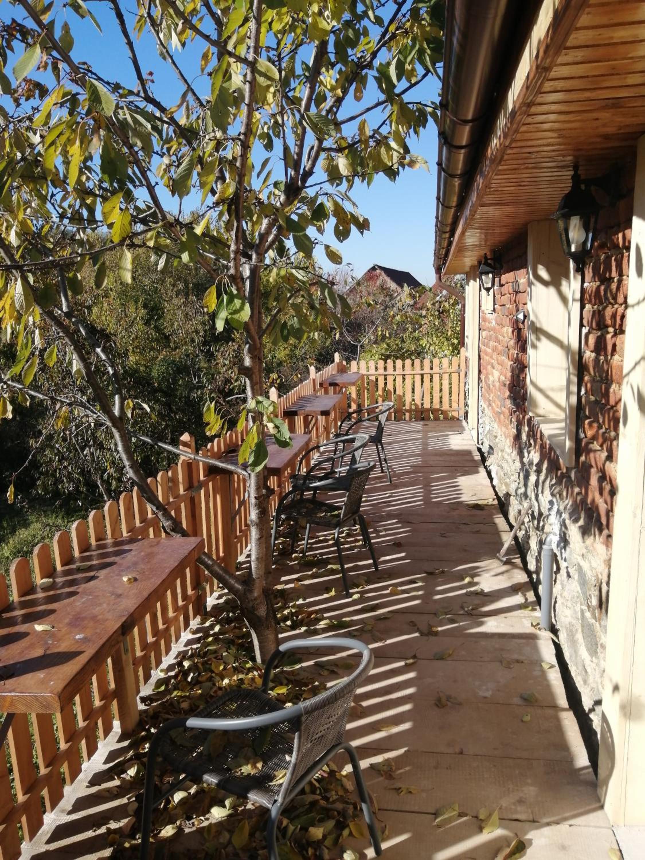 Photo 22