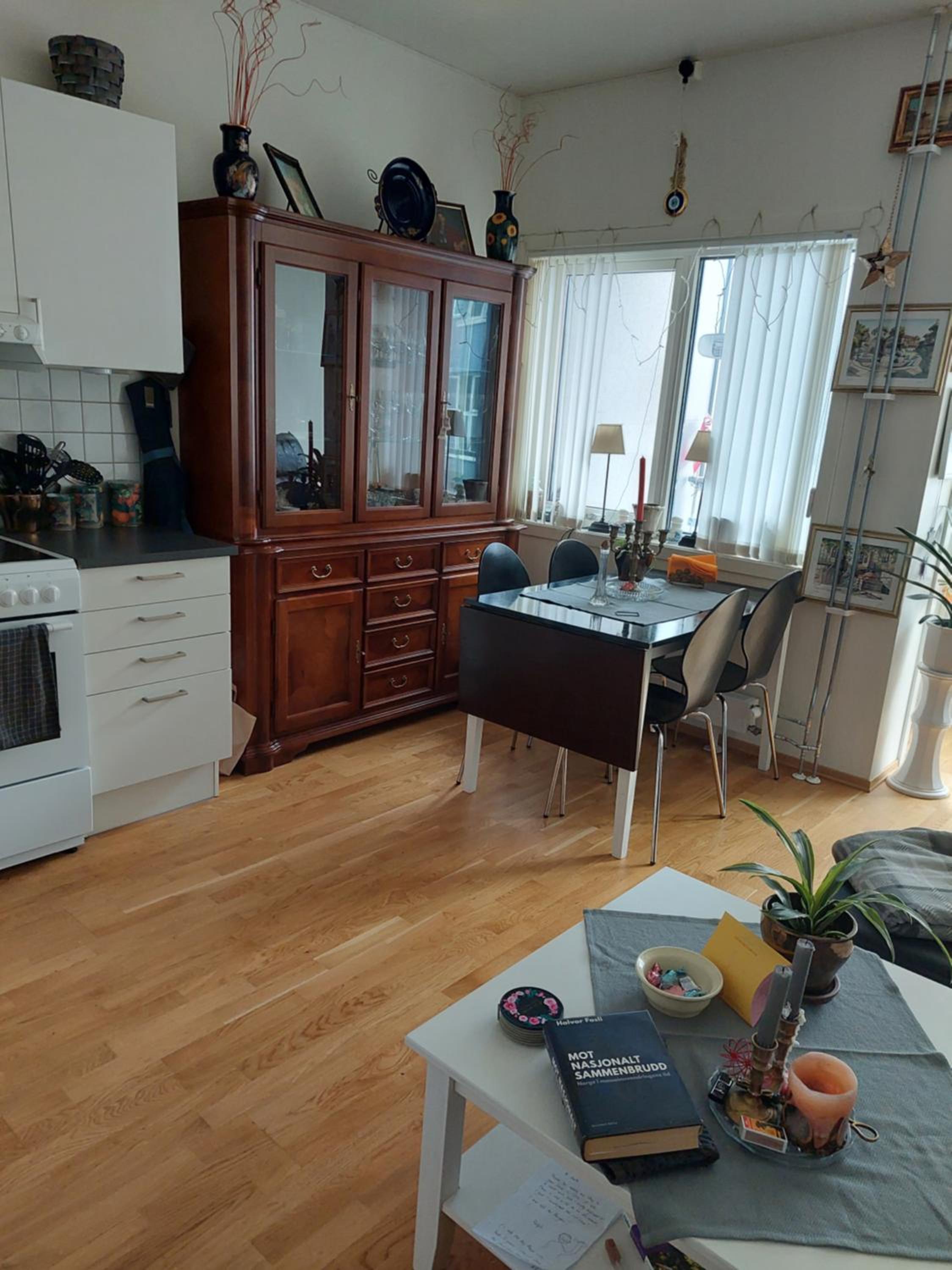 Shared apartment, Down Town Oslo, Osterhaus'gate 10 view 3