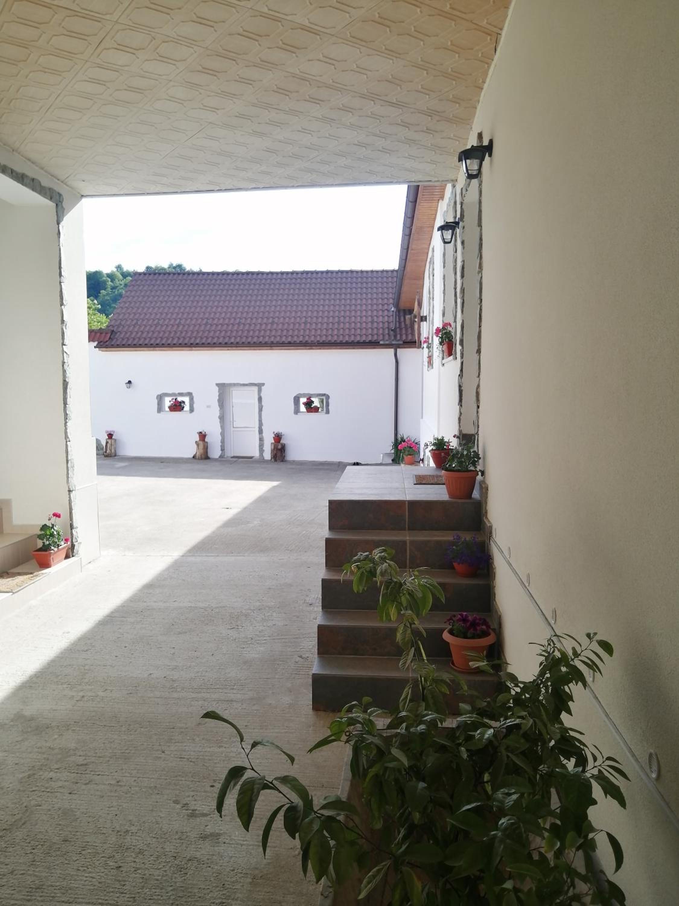 Photo 31