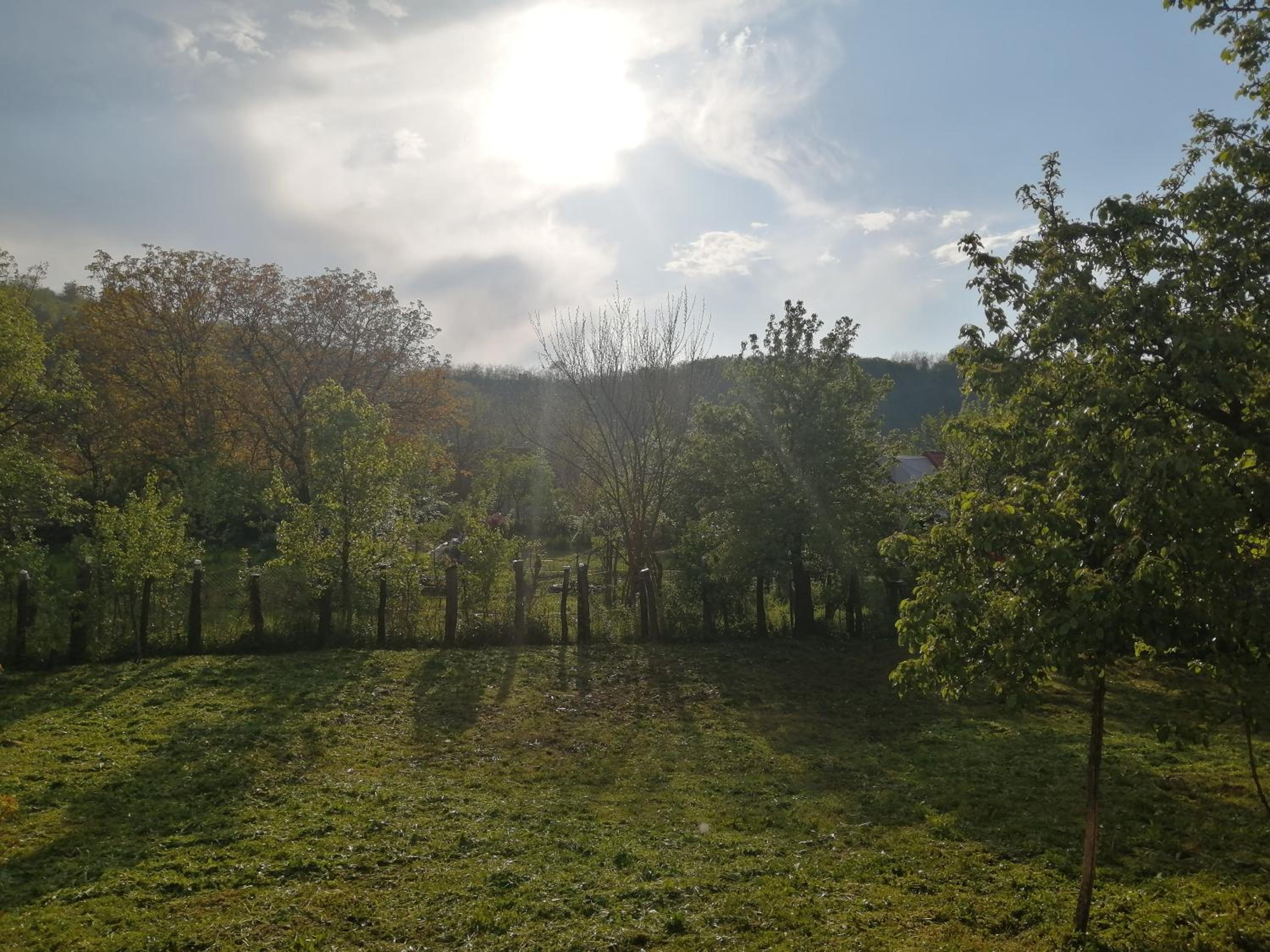 Photo 36