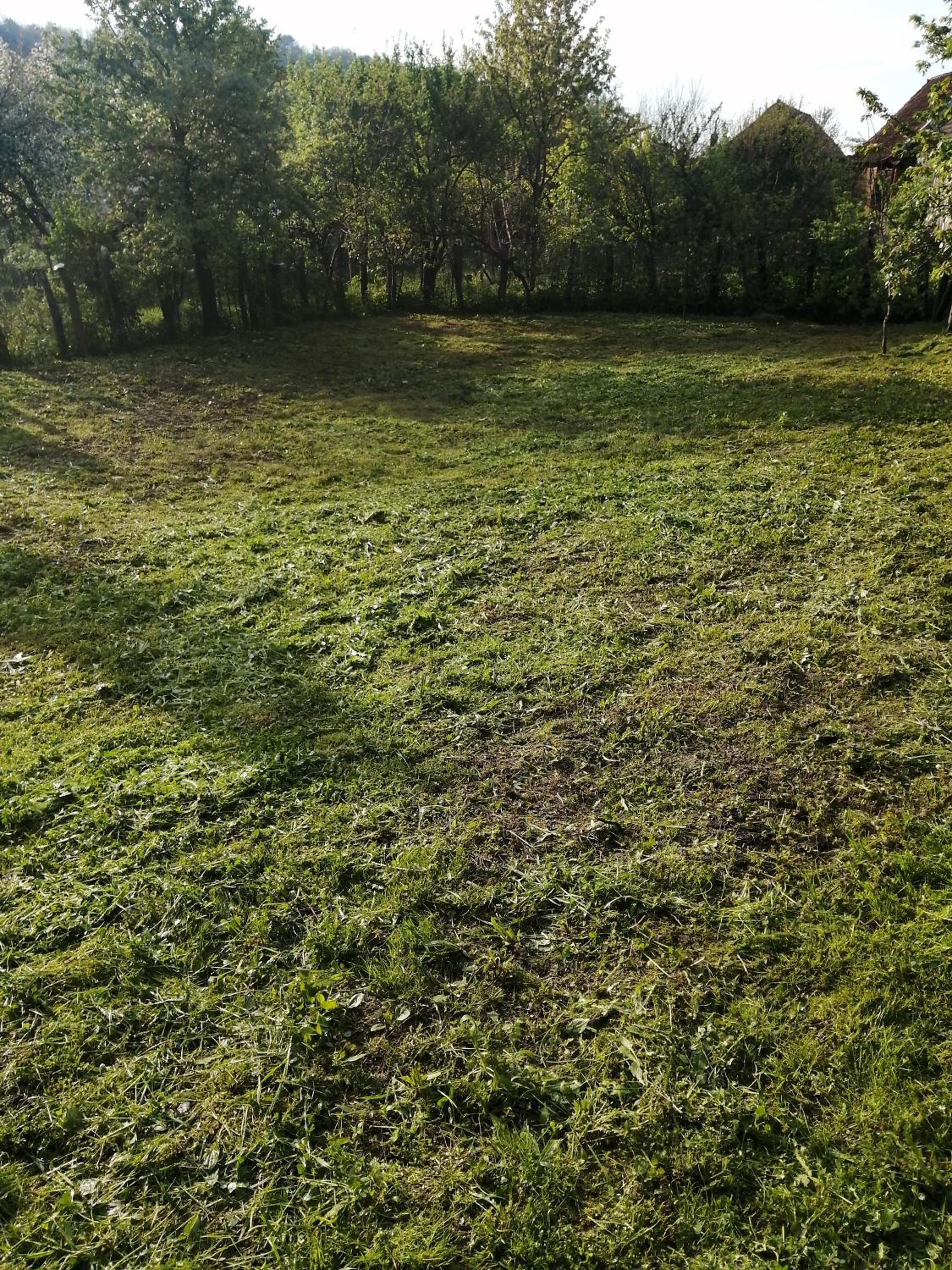Photo 40
