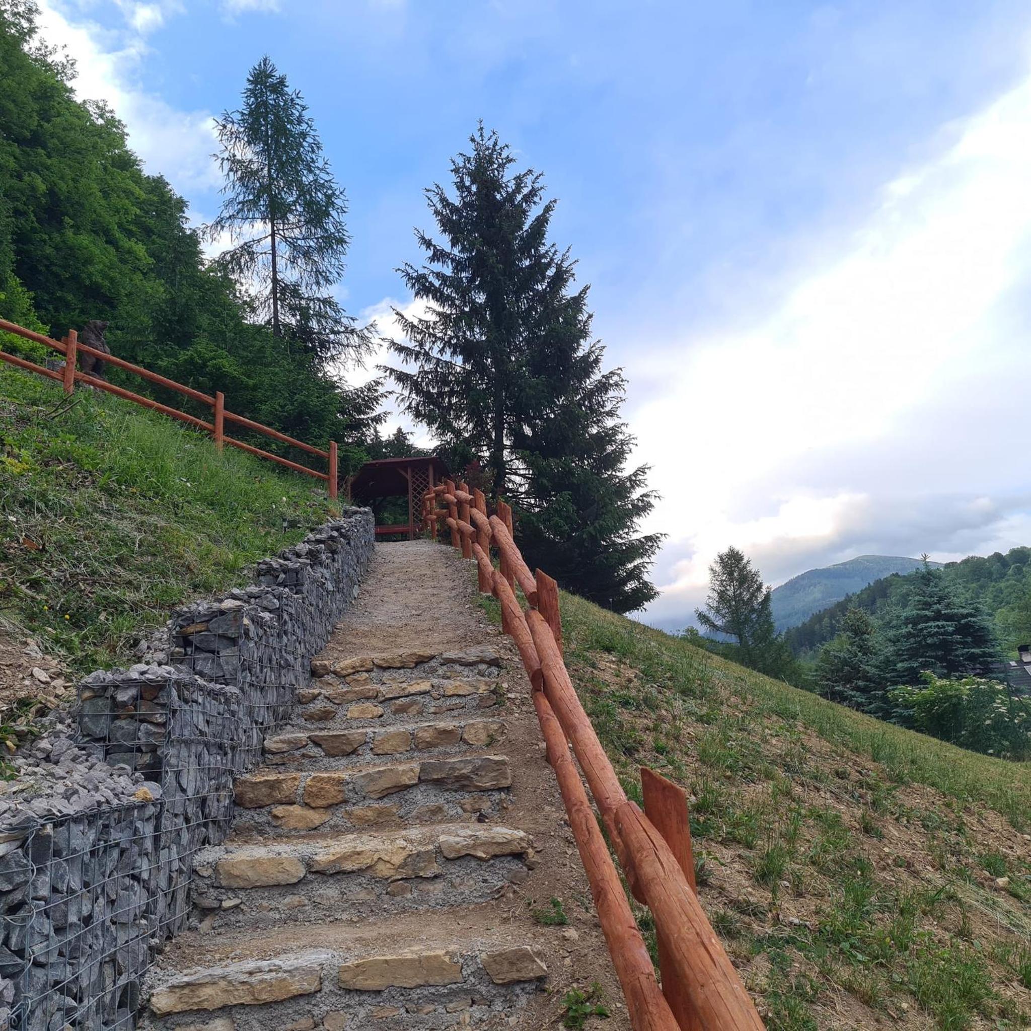 Photo 48
