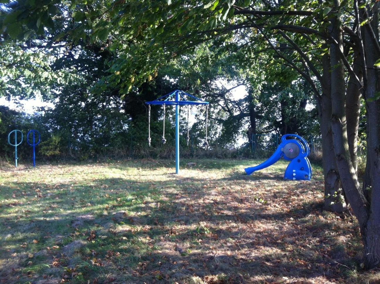 Photo 17