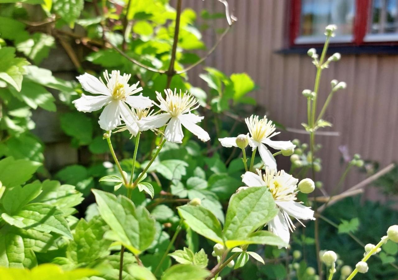 Flora Dekor gästgård