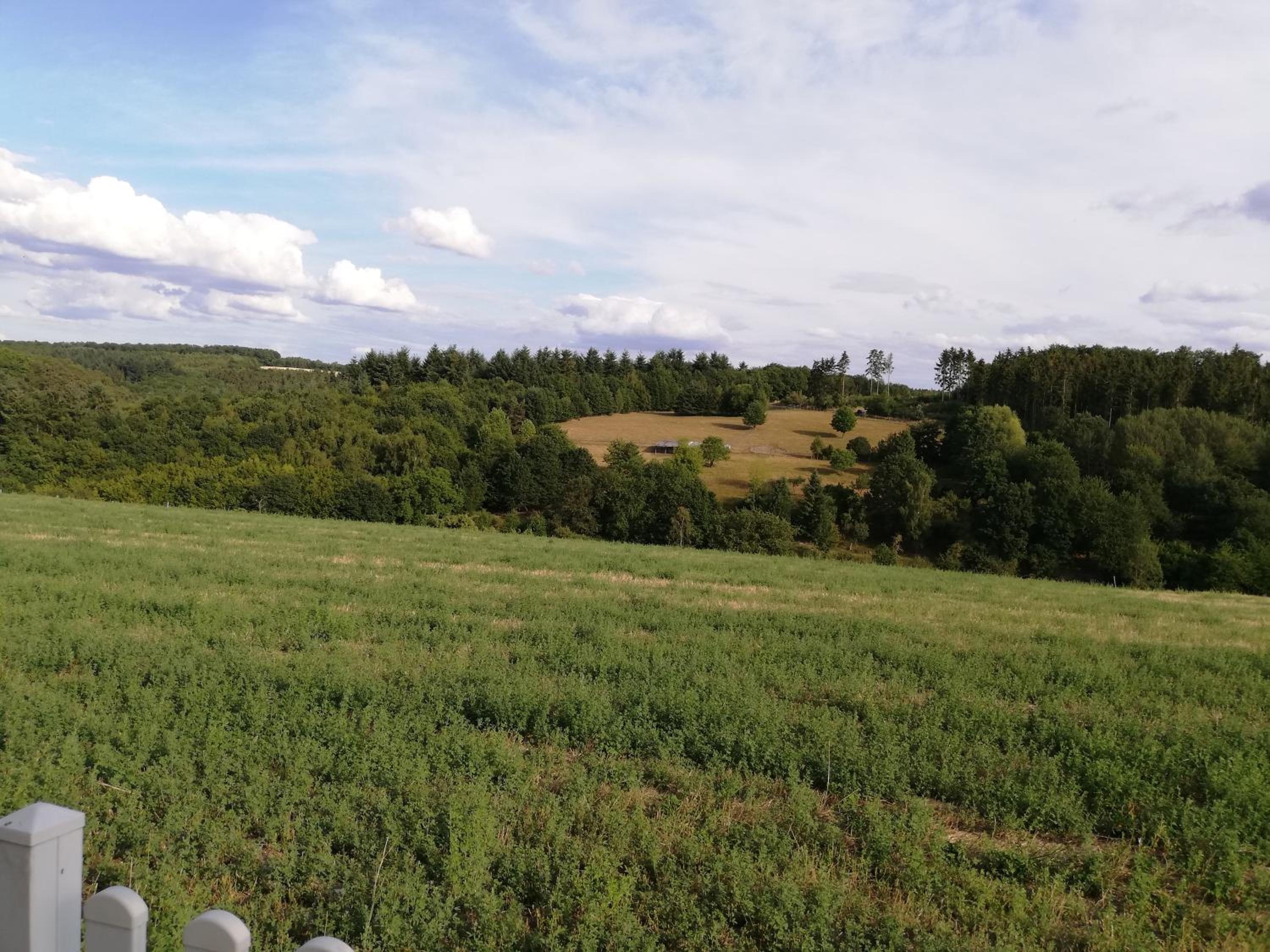 Ferienwohnung Altmaier - Ferien auf dem Lande