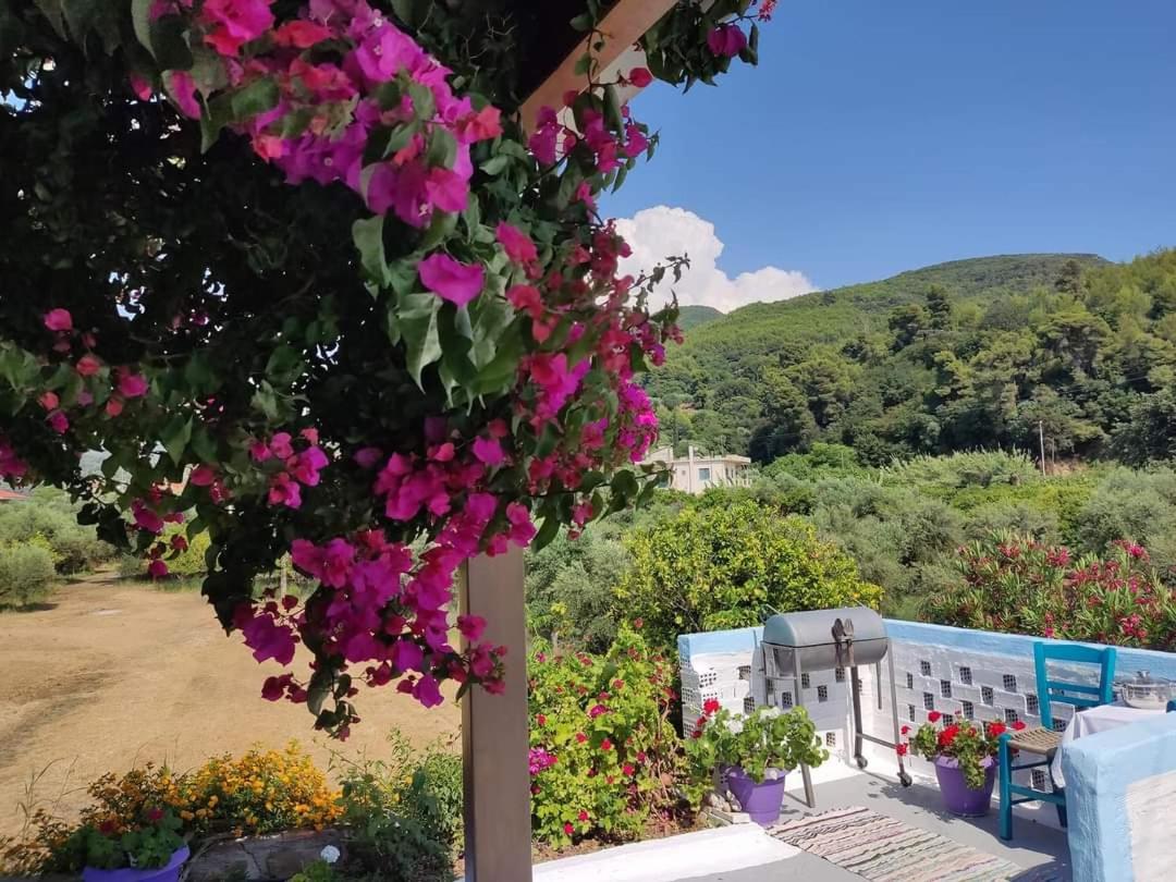 Villa Thea view 4