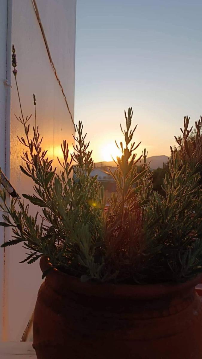 Filoxenia House photo 2