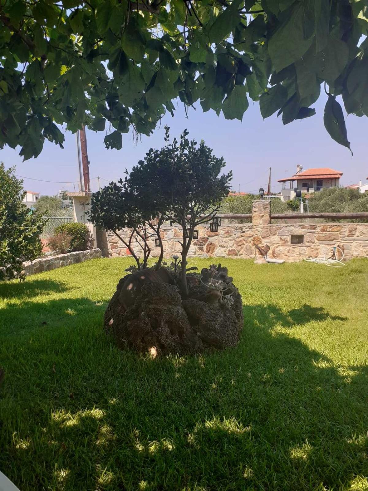 Photo 41