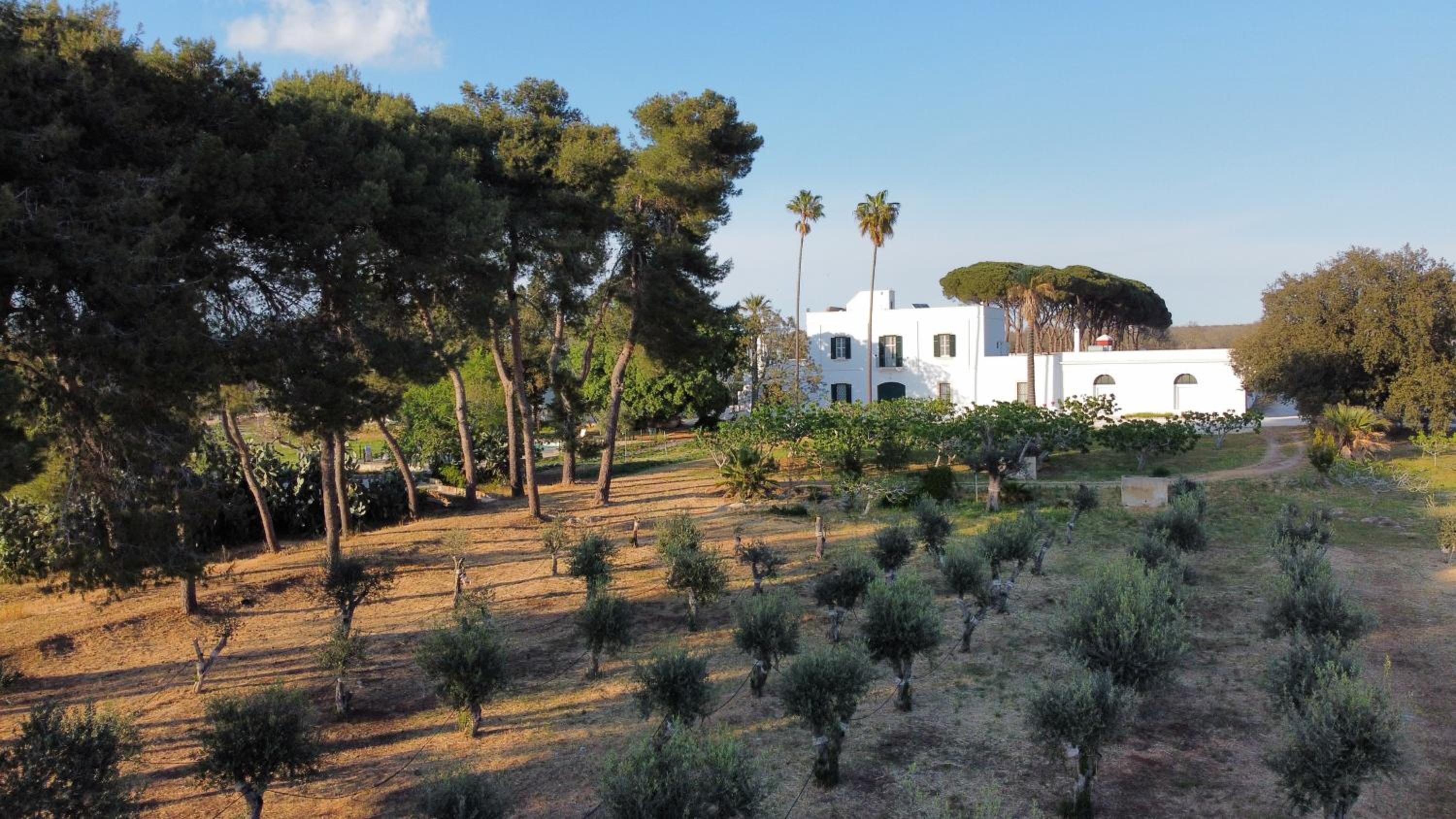 Hotel Masseria Filippo de Raho - Agri Bio Relais